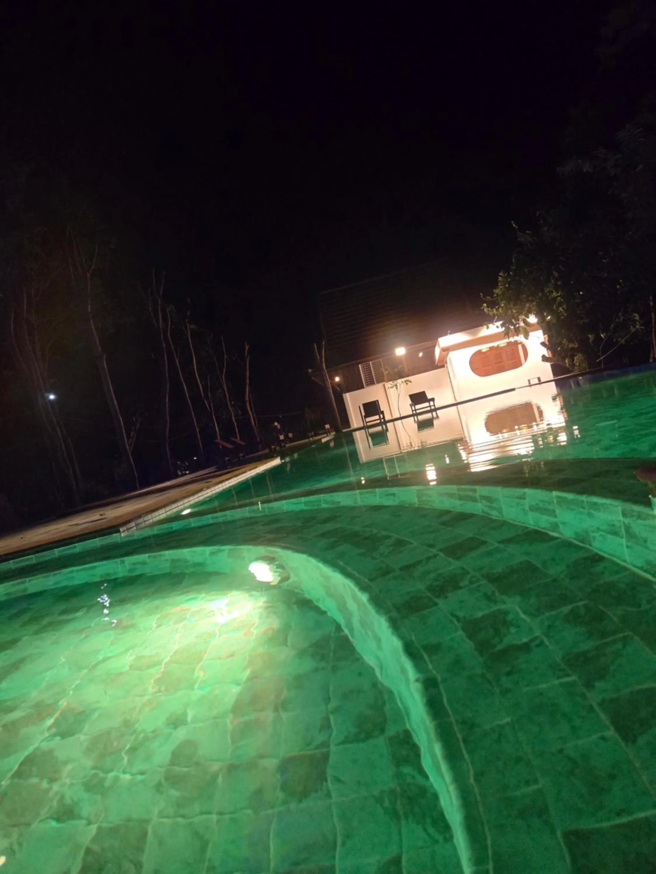 Swimming pool in Greenhouse Retreat