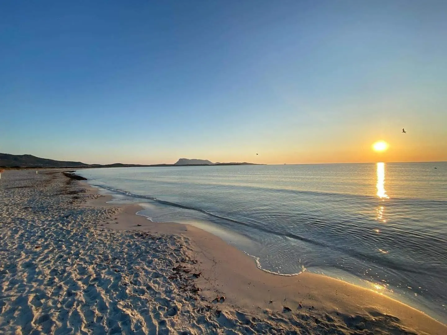 Beach in b&b Florian
