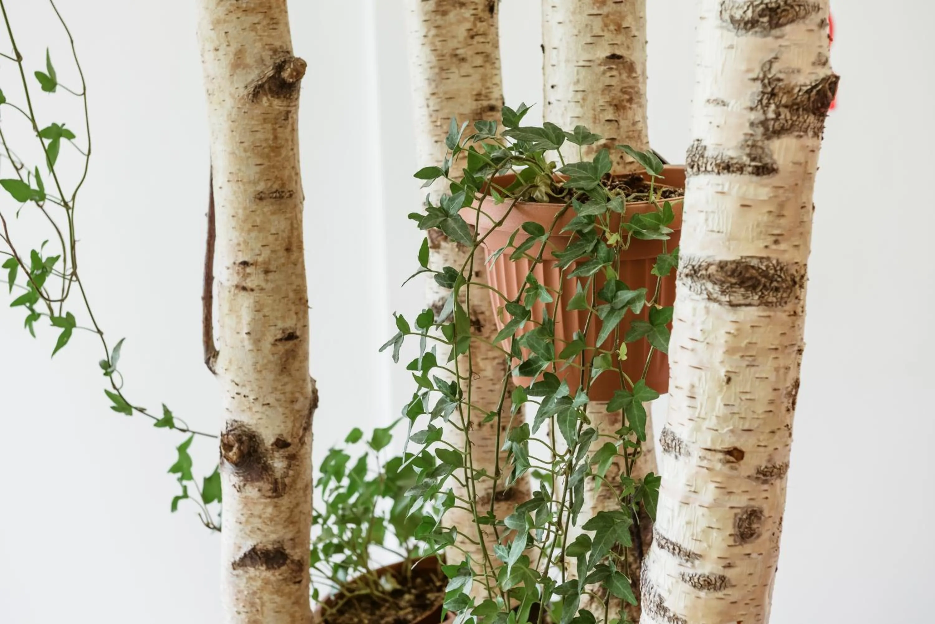 Decorative detail in Downtown Forest Hostel & Camping