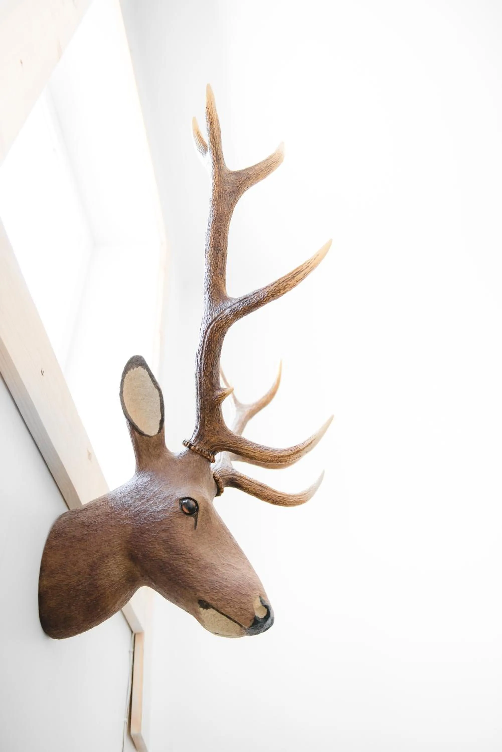 Facade/entrance in Downtown Forest Hostel & Camping