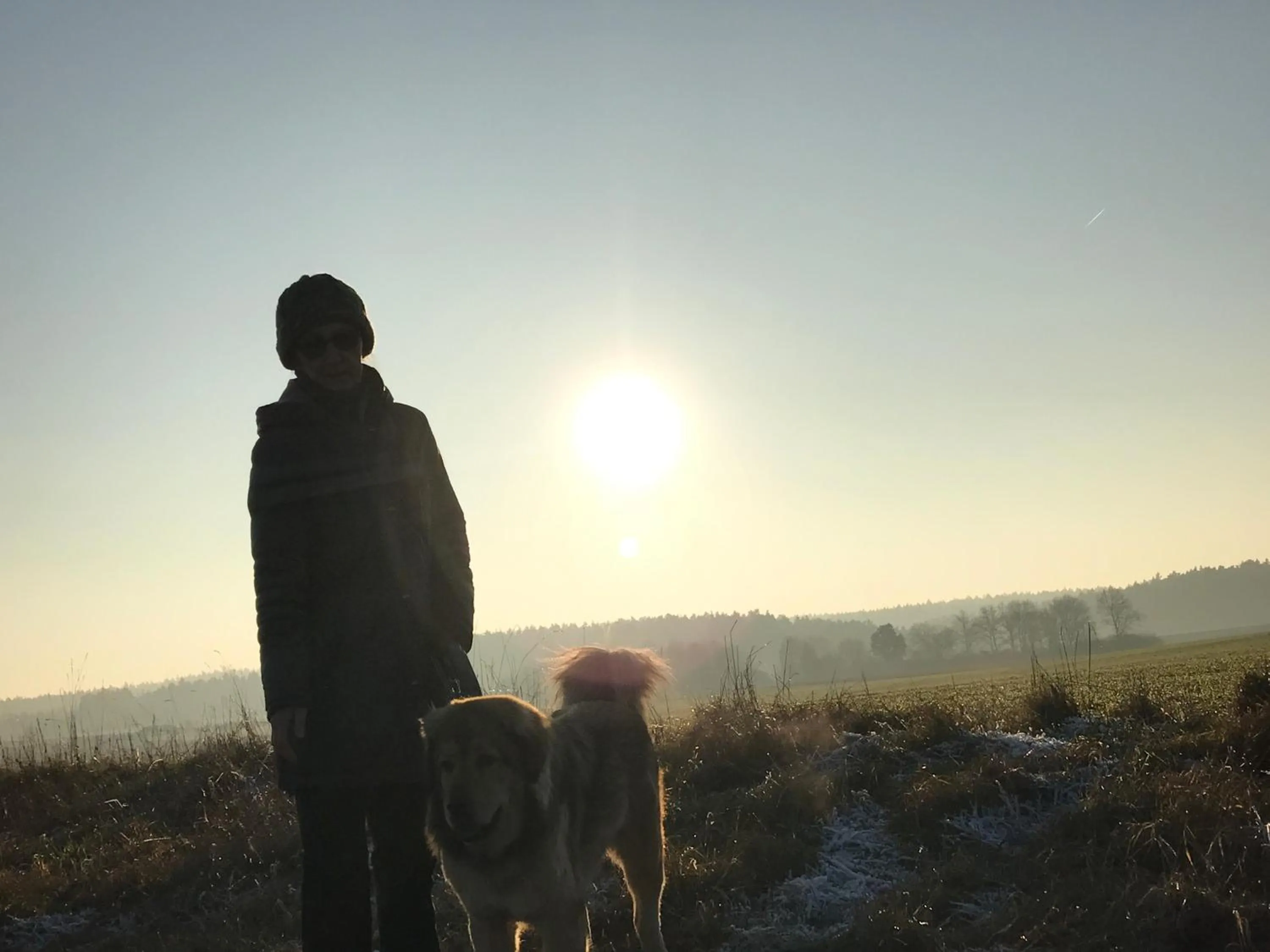 Pets in Landhotel Rangau Gasthof & Brennerei