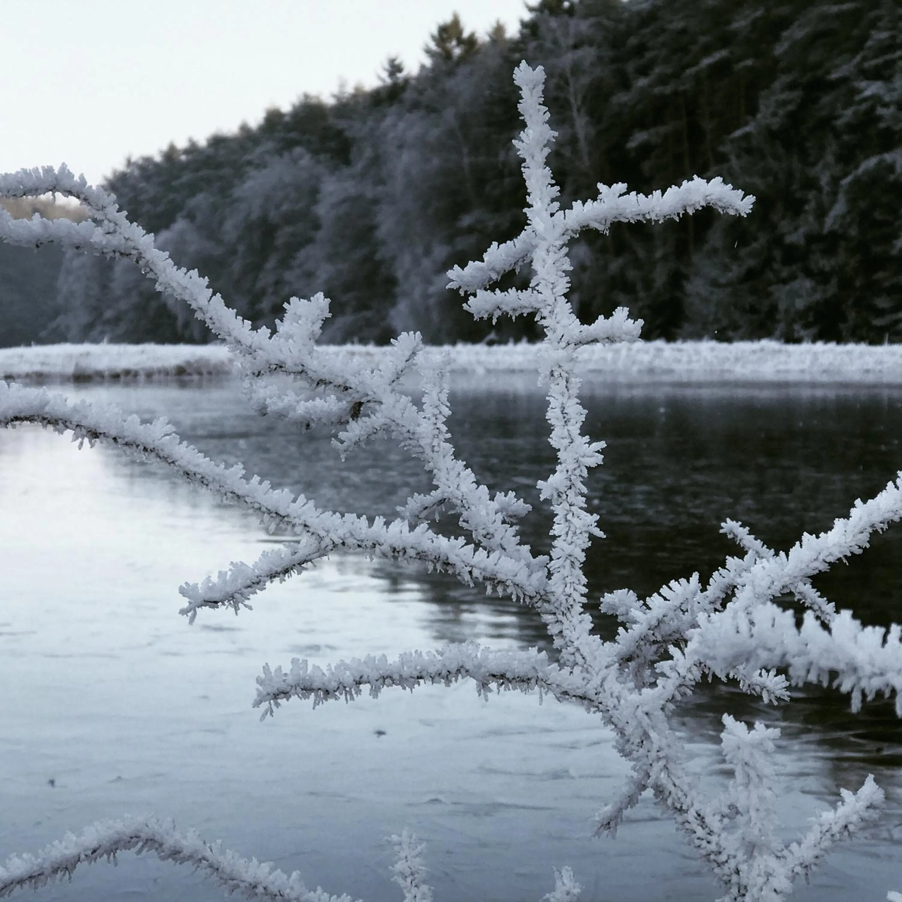 Natural landscape in Landhotel Rangau Gasthof & Brennerei