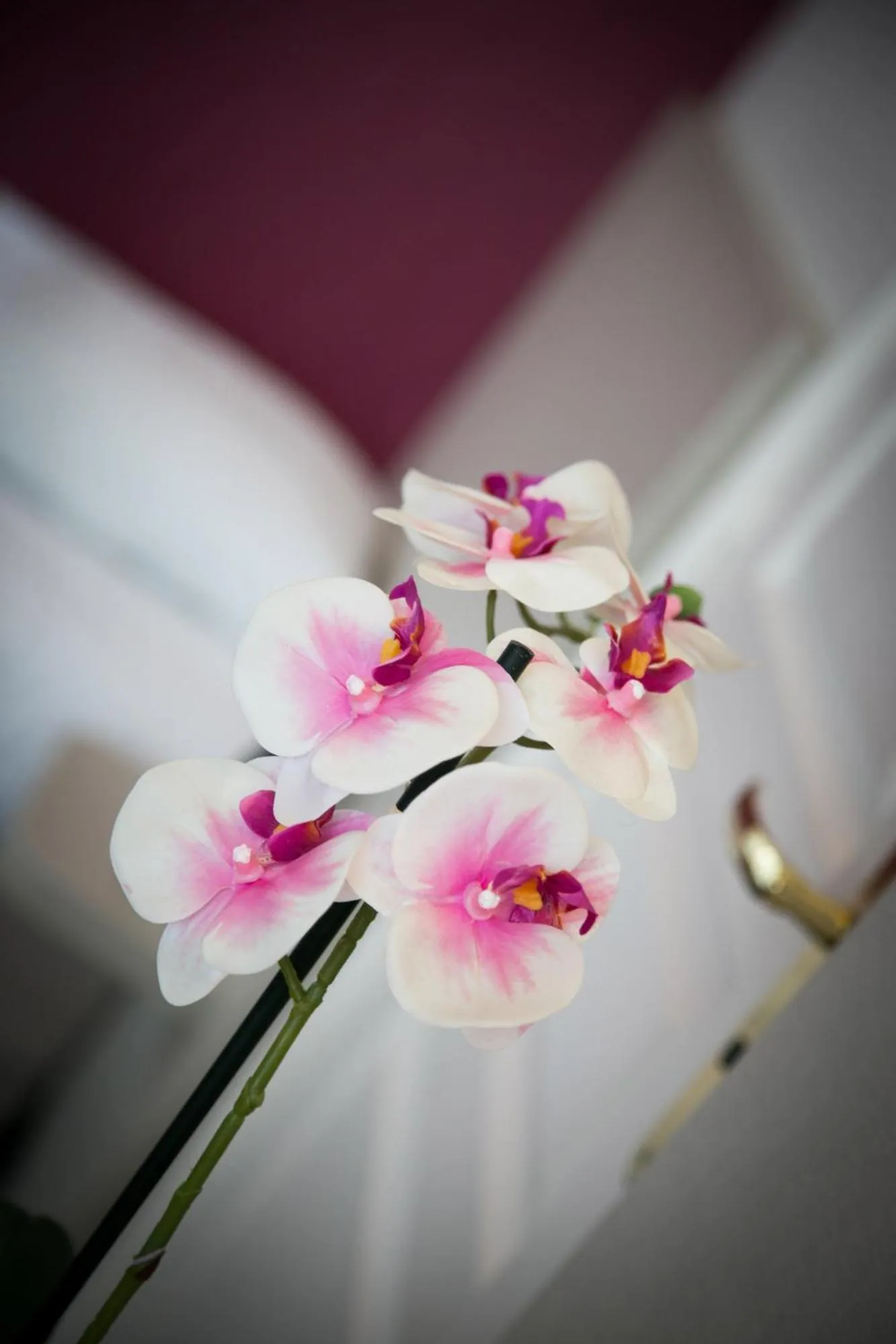 Decorative detail in Logis Hôtel Auberge de la Rose