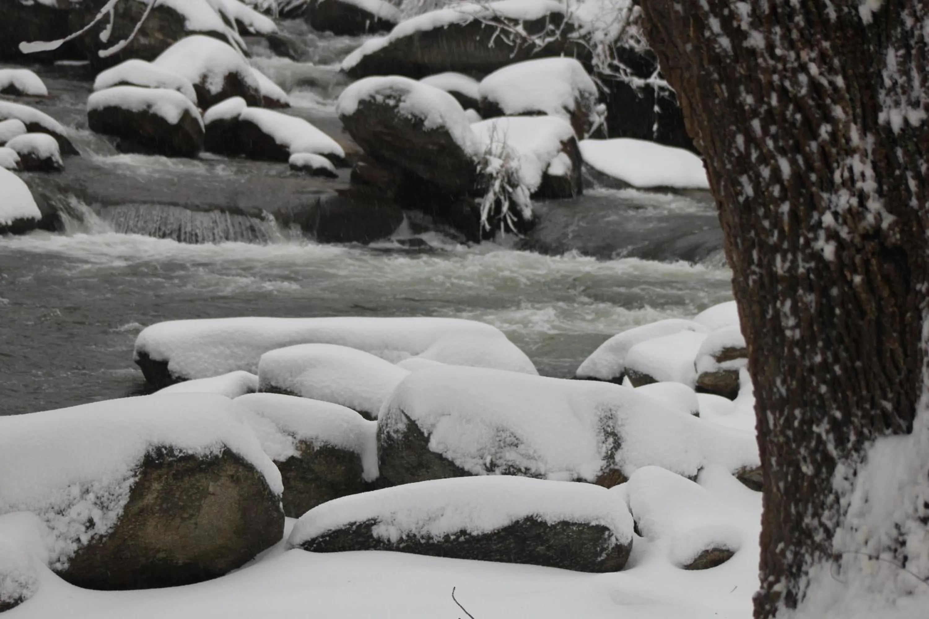 The Evening Shade River Lodge and Cabins