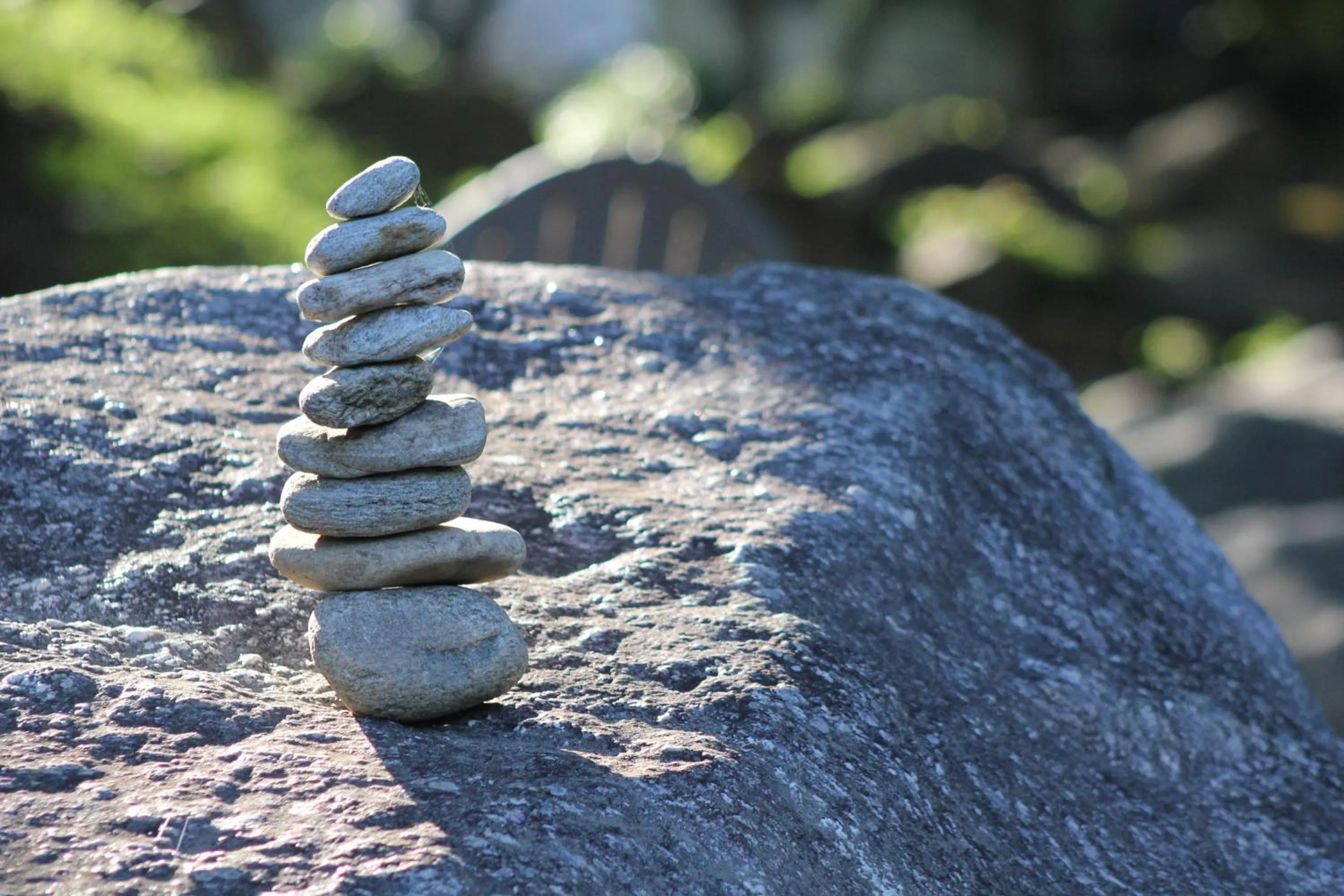 The Evening Shade River Lodge and Cabins