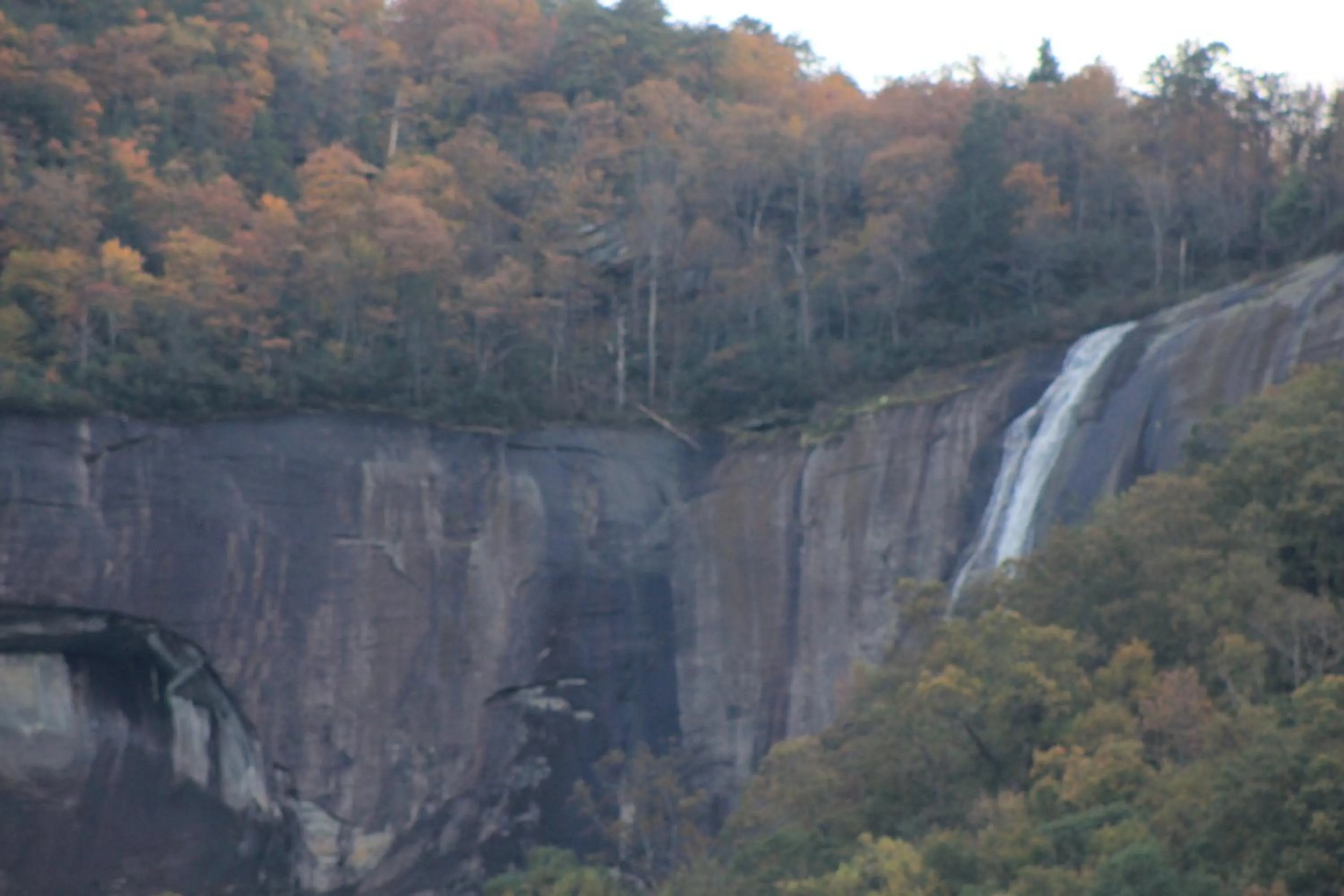 The Evening Shade River Lodge and Cabins