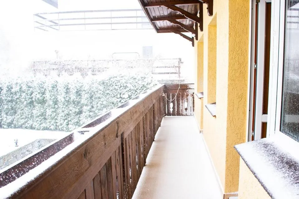 View (from property/room) in Willa ASPEN