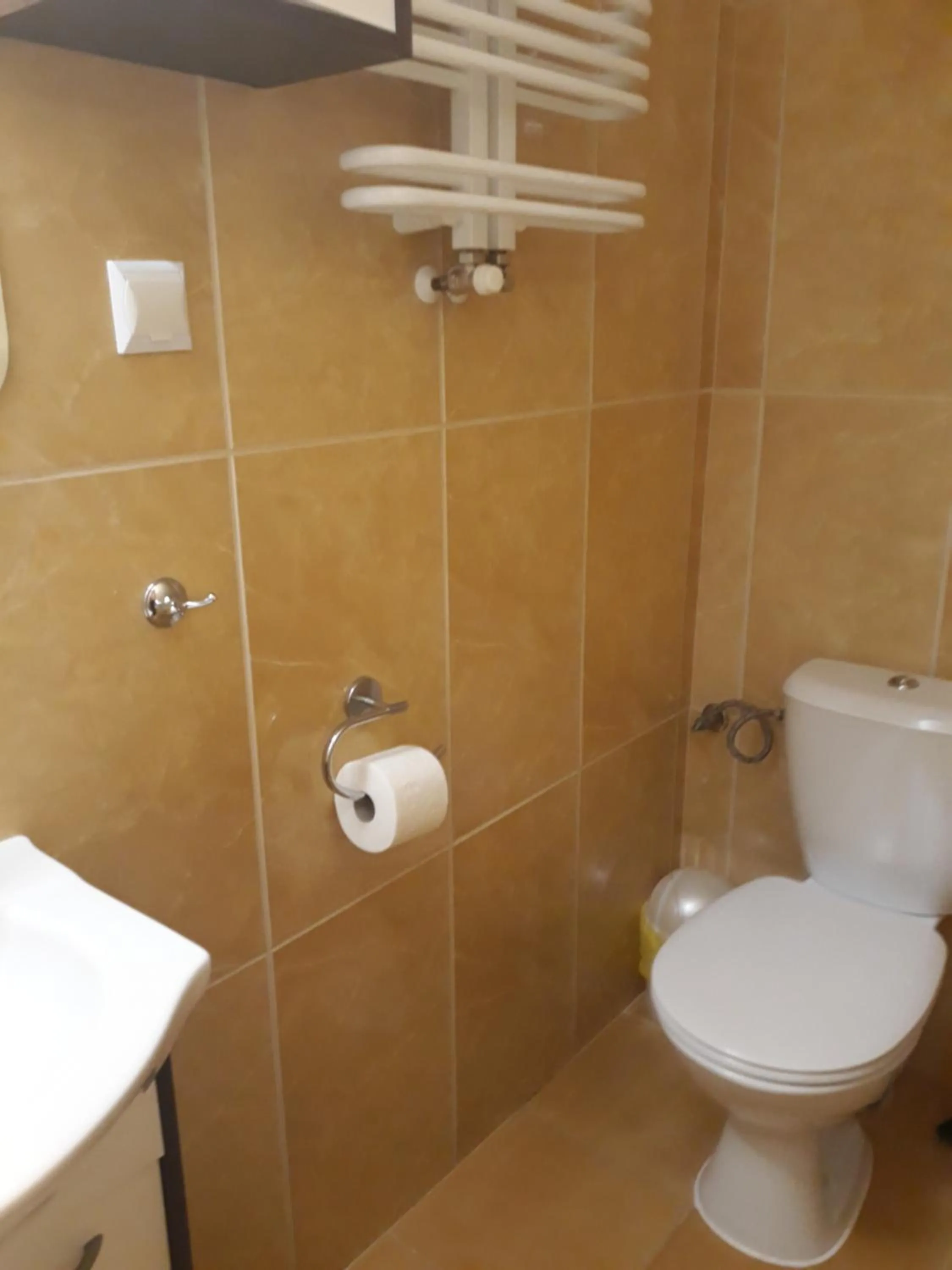 Shower in Willa ASPEN