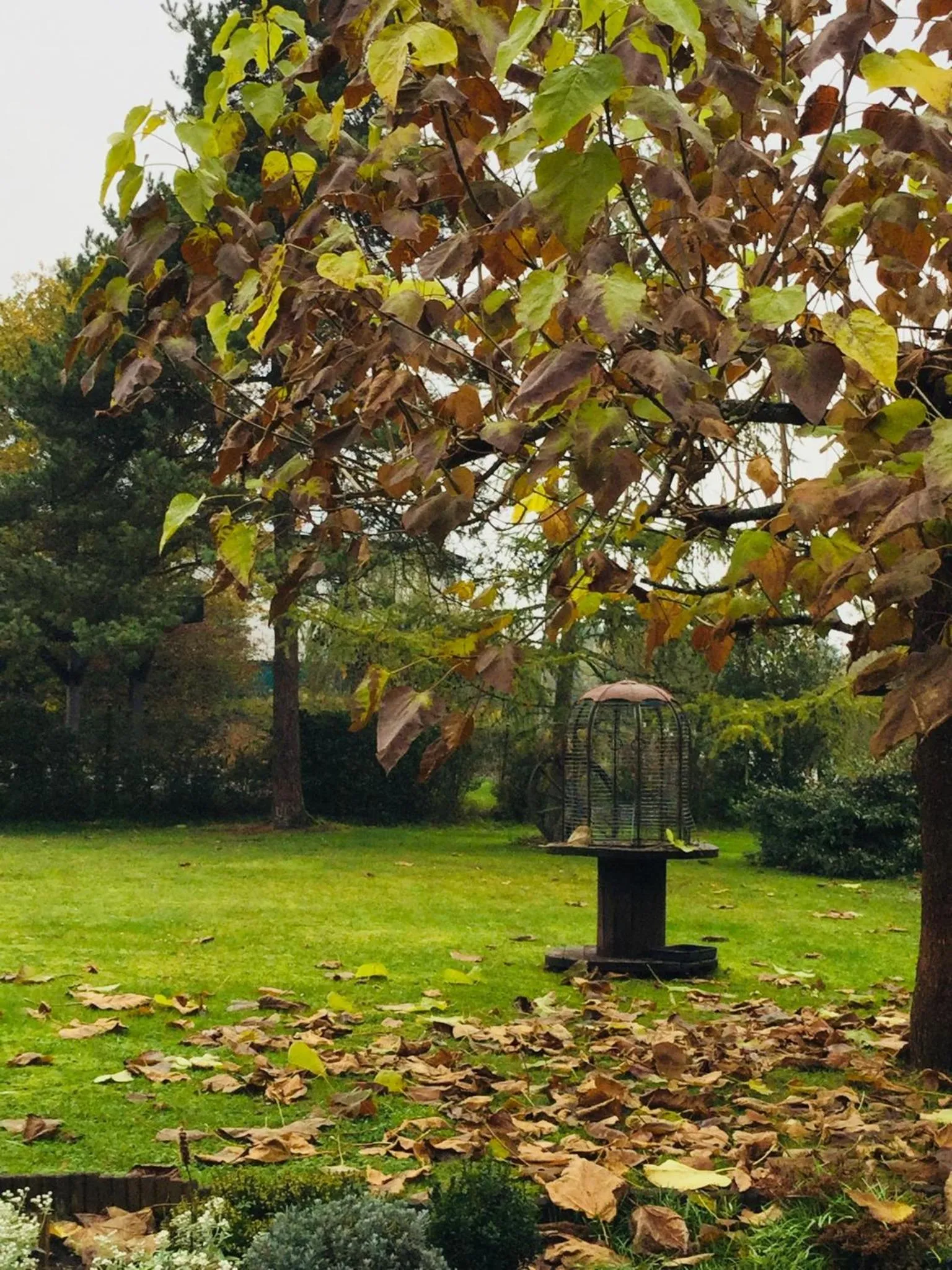 Garden in Le jardin des Biches