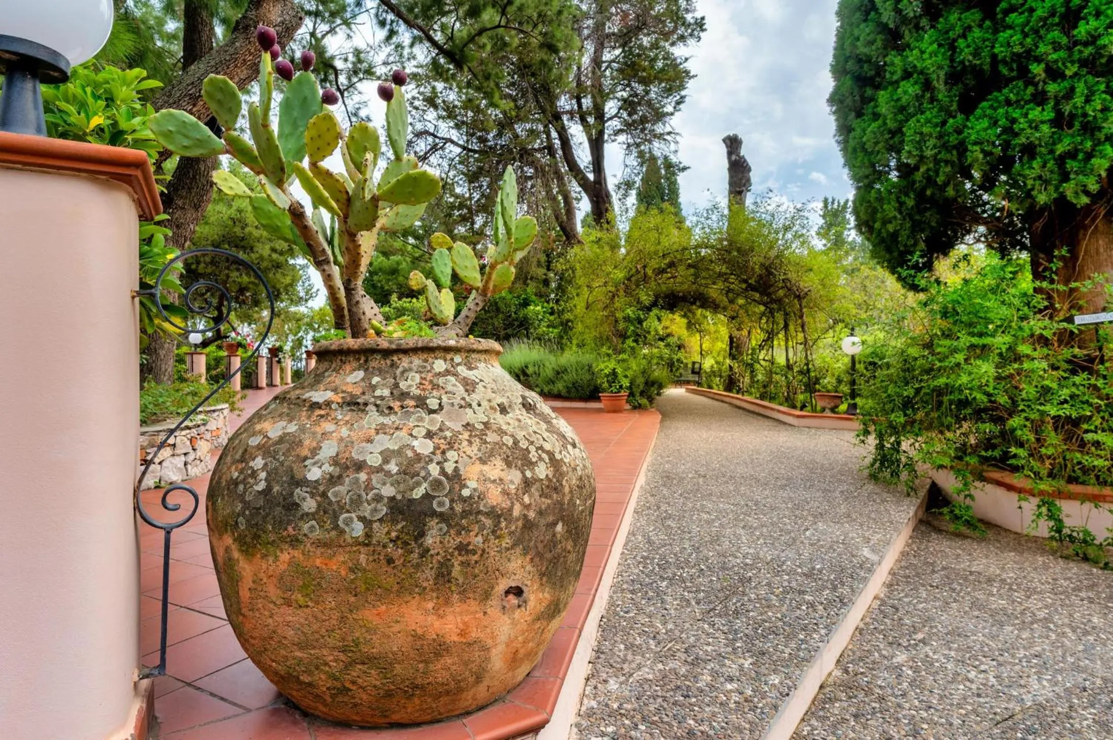 Garden in Excelsior Palace Hotel