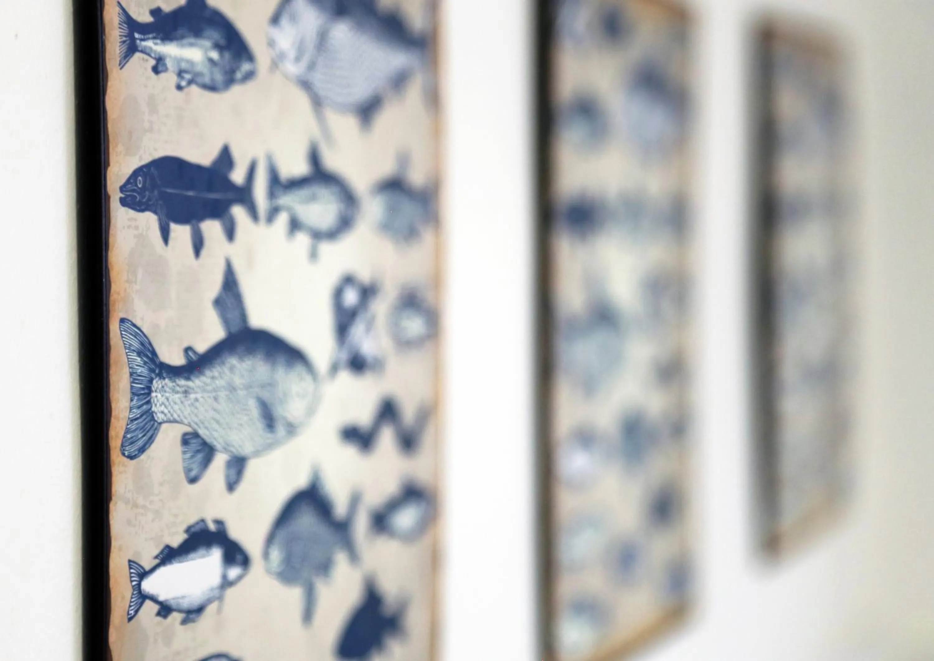 Mr Pell's House Self-Catering Accommodation