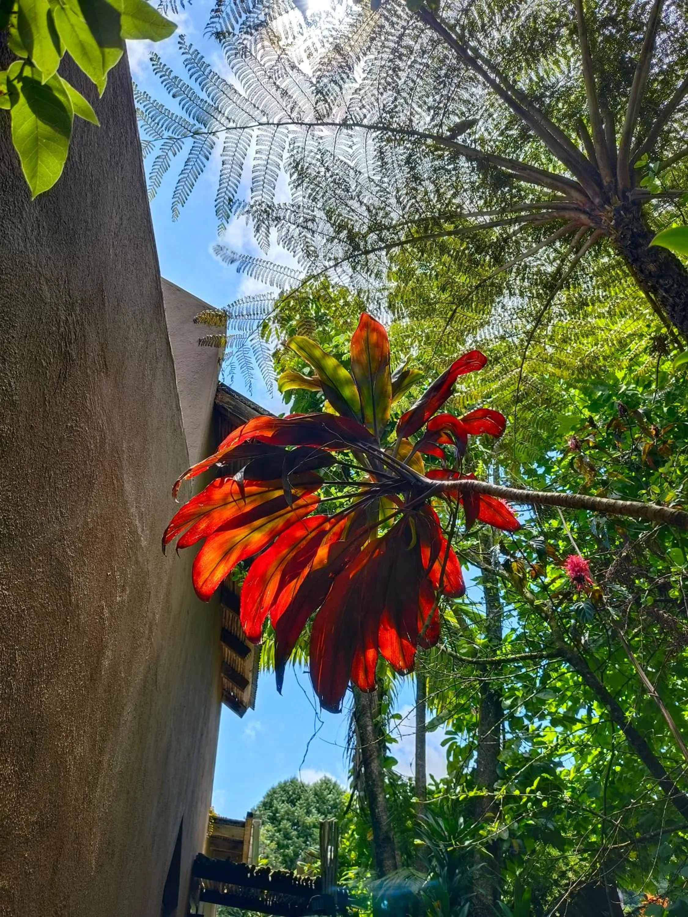 Dar Amane Guest House