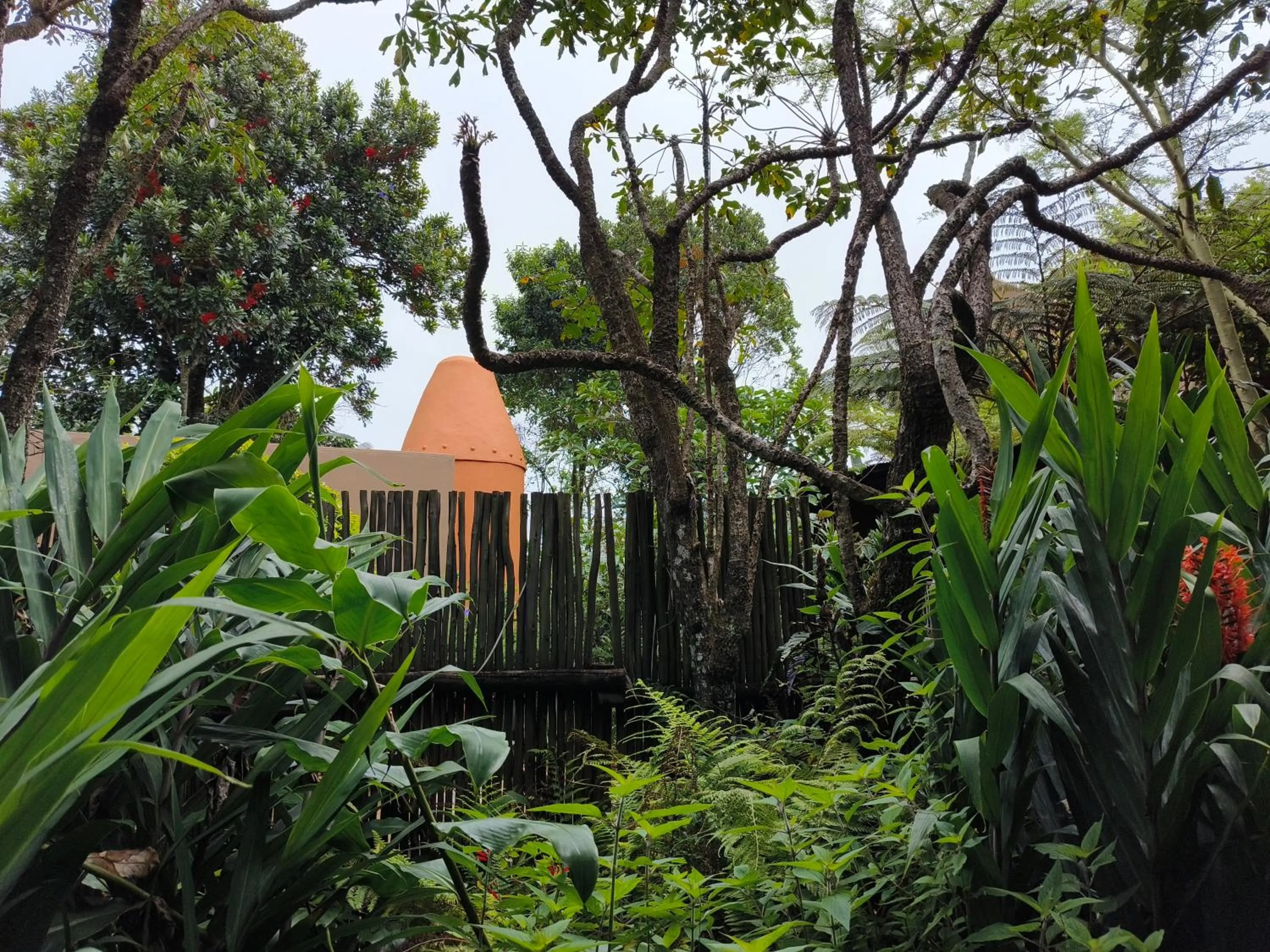 Dar Amane Guest House