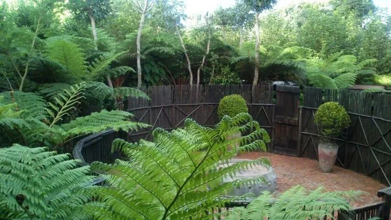 Dar Amane Guest House