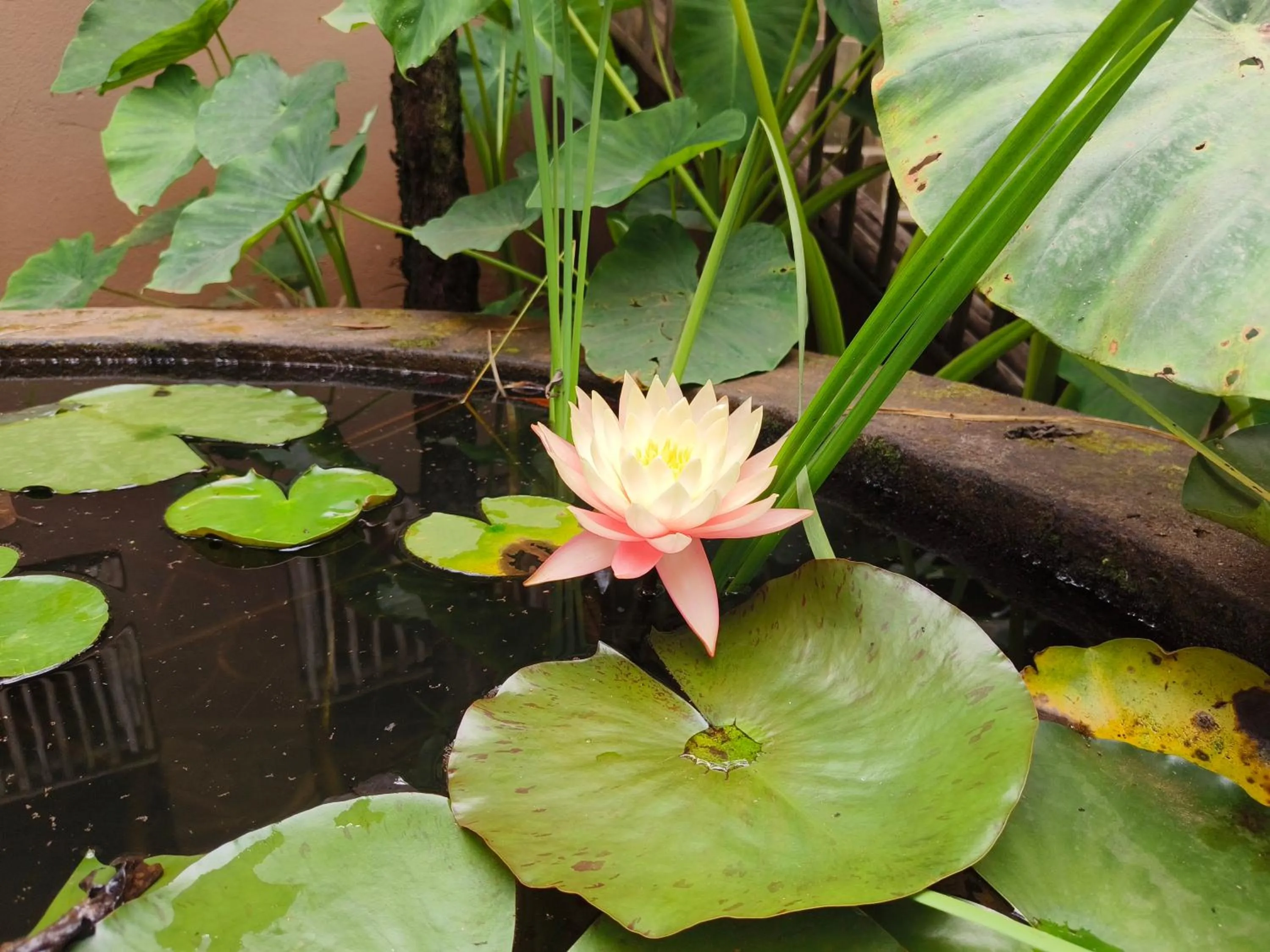 Dar Amane Guest House