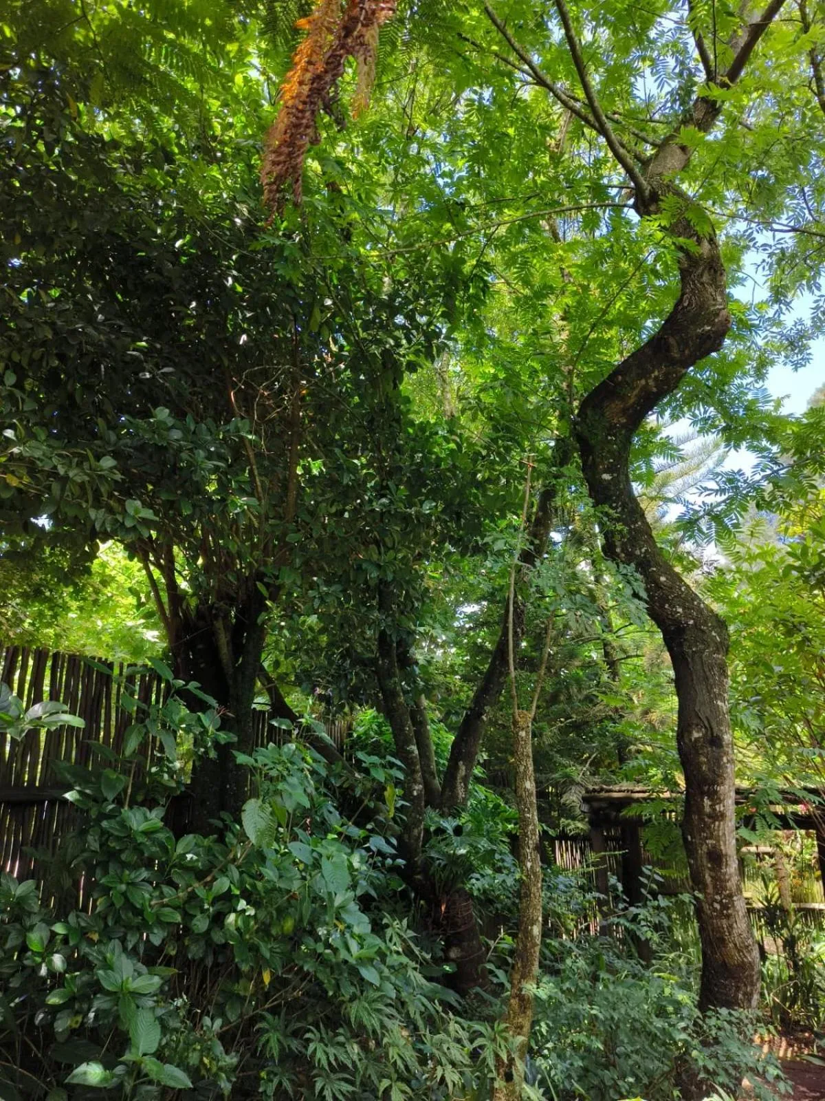 Dar Amane Guest House