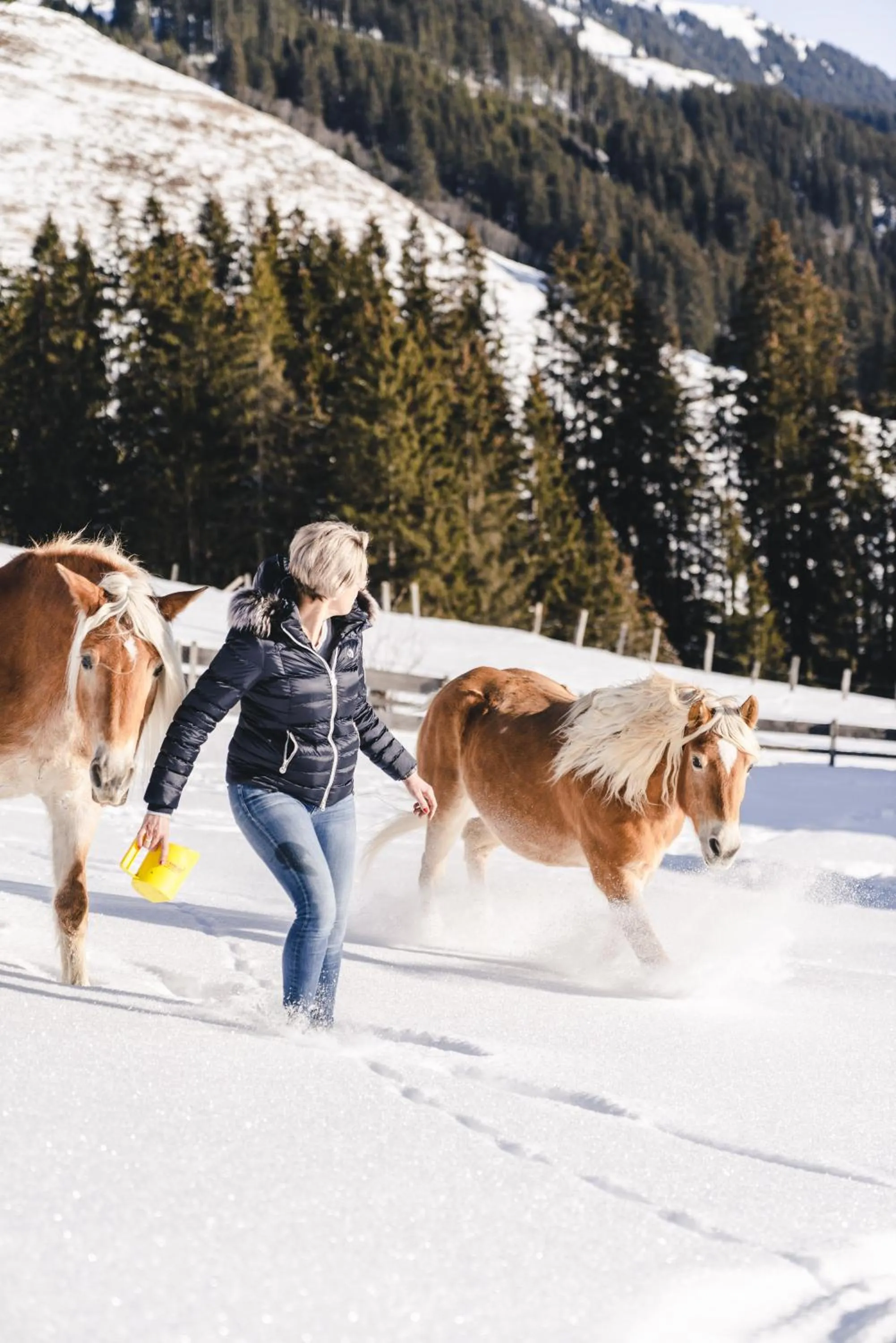 Natural landscape in Traumhotel Alpina Superior