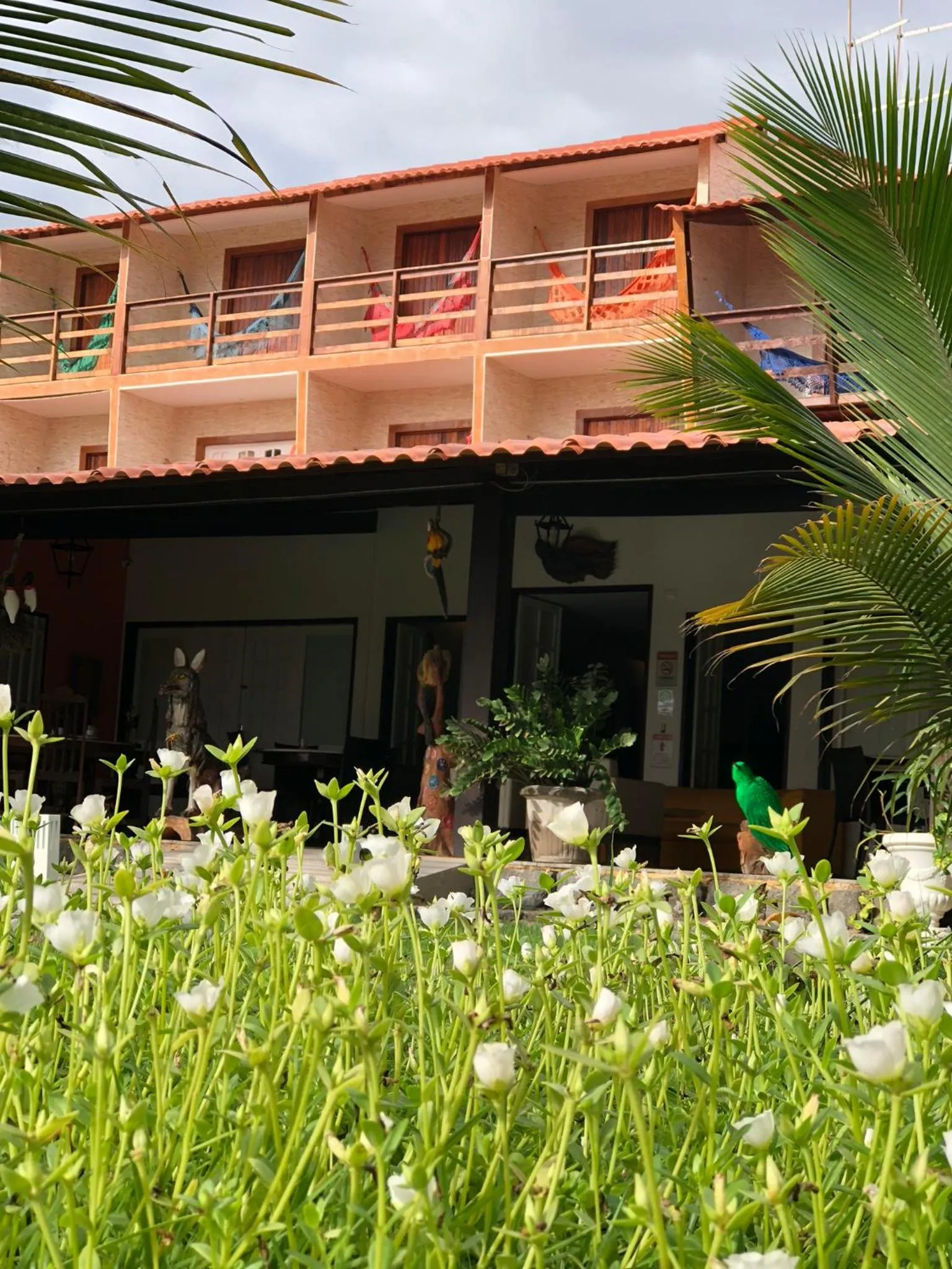 Garden in Pousada Maraoka