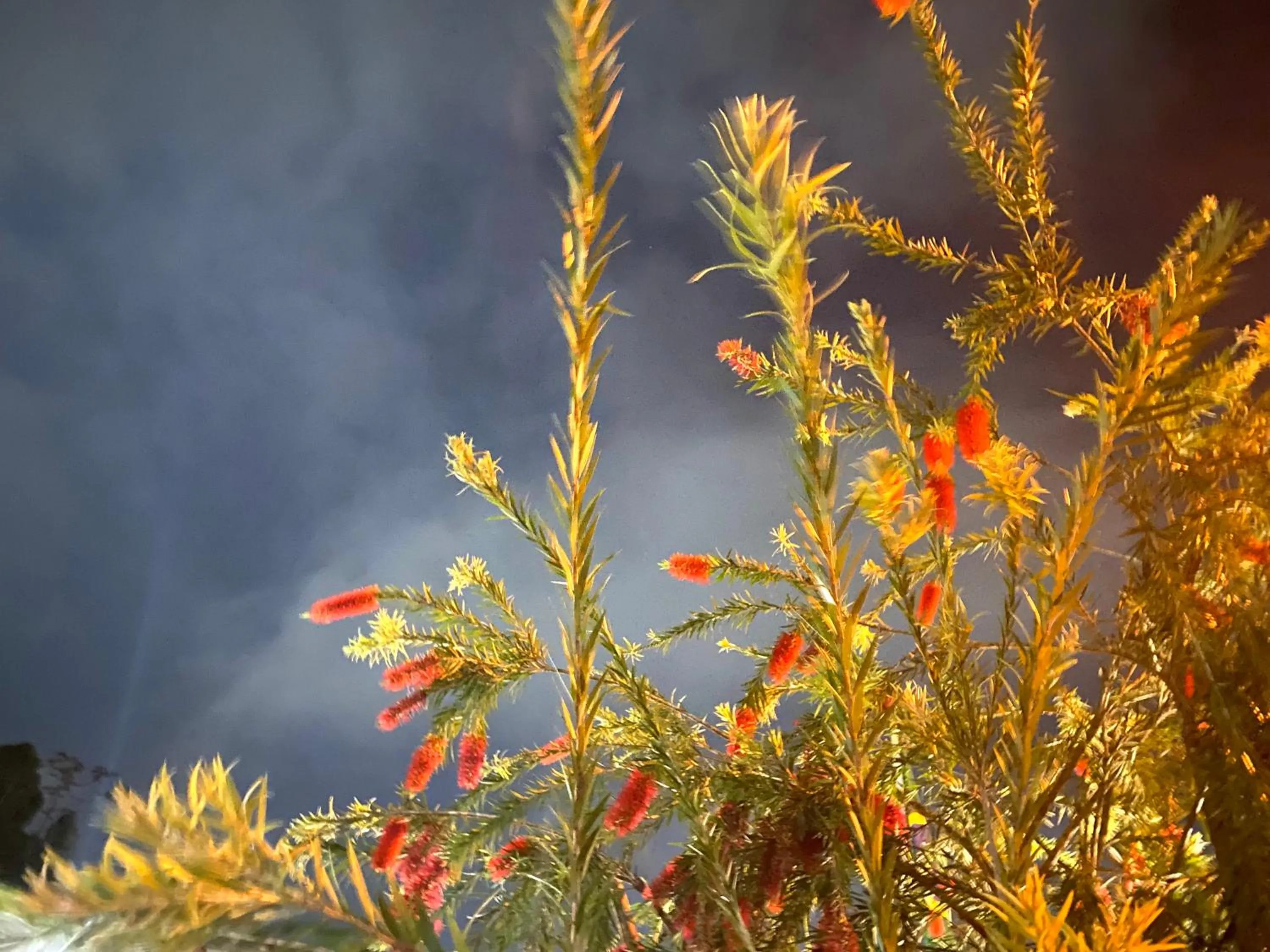 Apart Hotel Angra dos Reis II