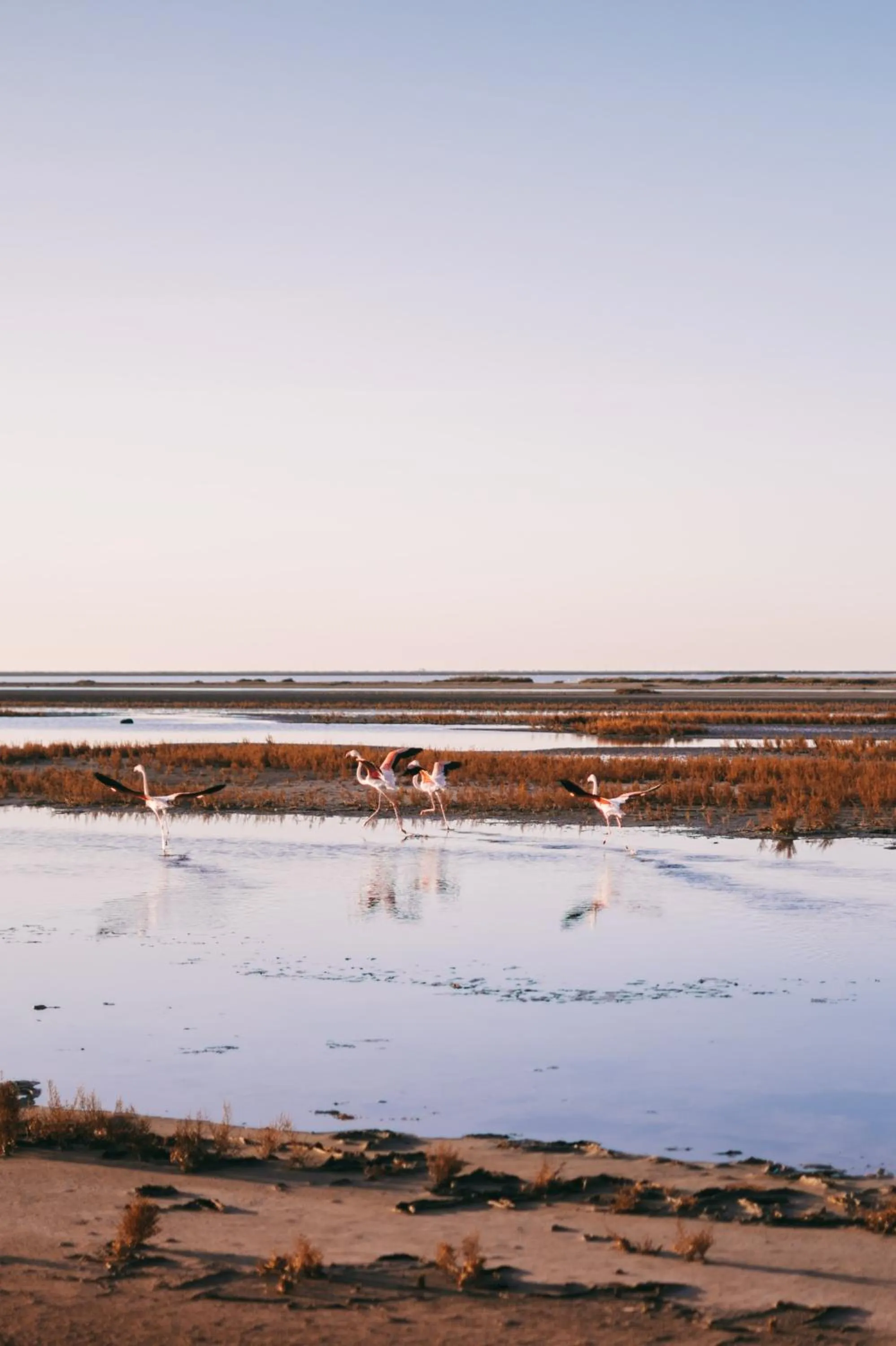 Natural landscape in Le Domaine du Golf*** by Ateya Vacances