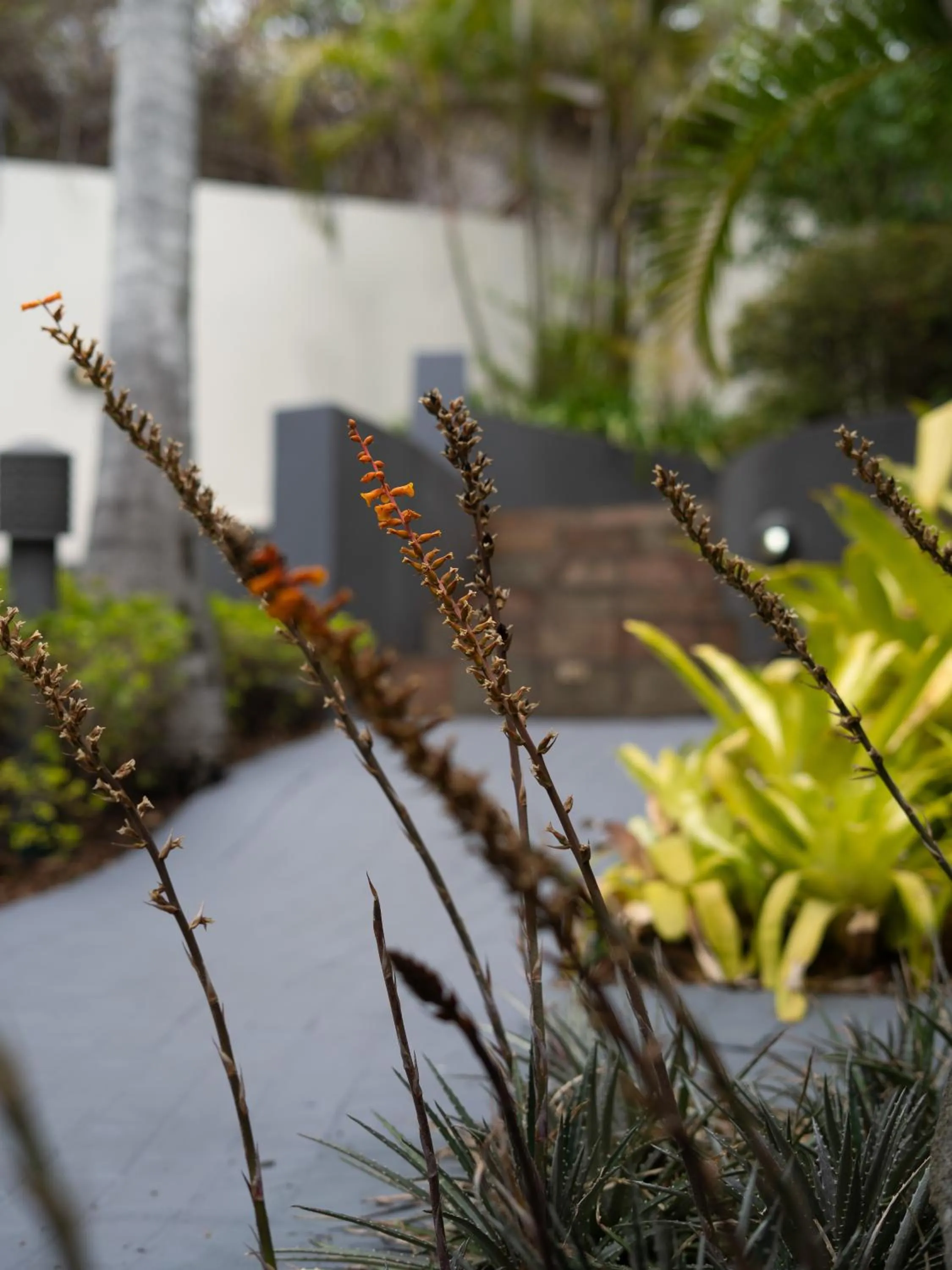 Garden in La Roca Guest House