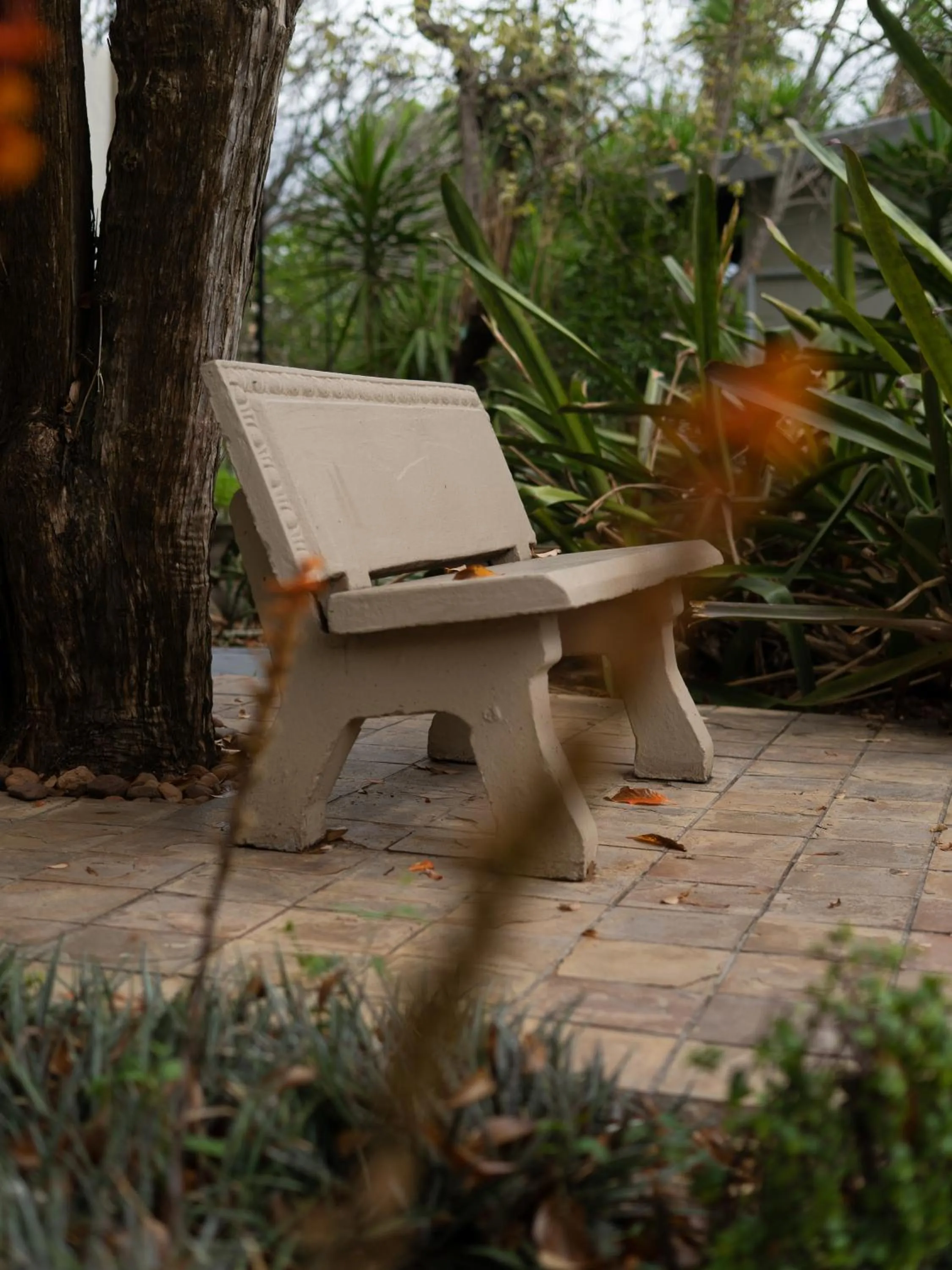 Garden in La Roca Guest House