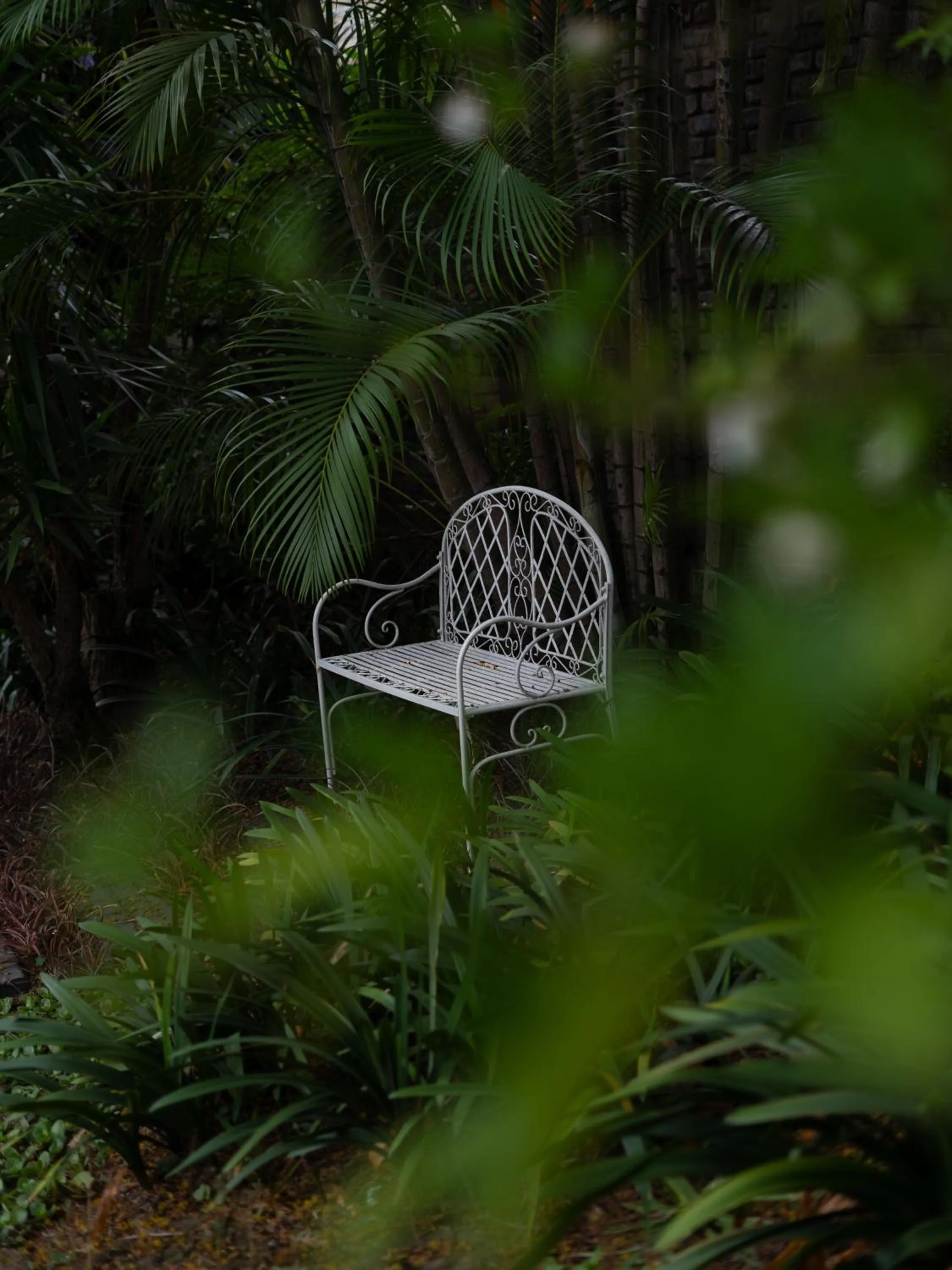 Garden in La Roca Guest House