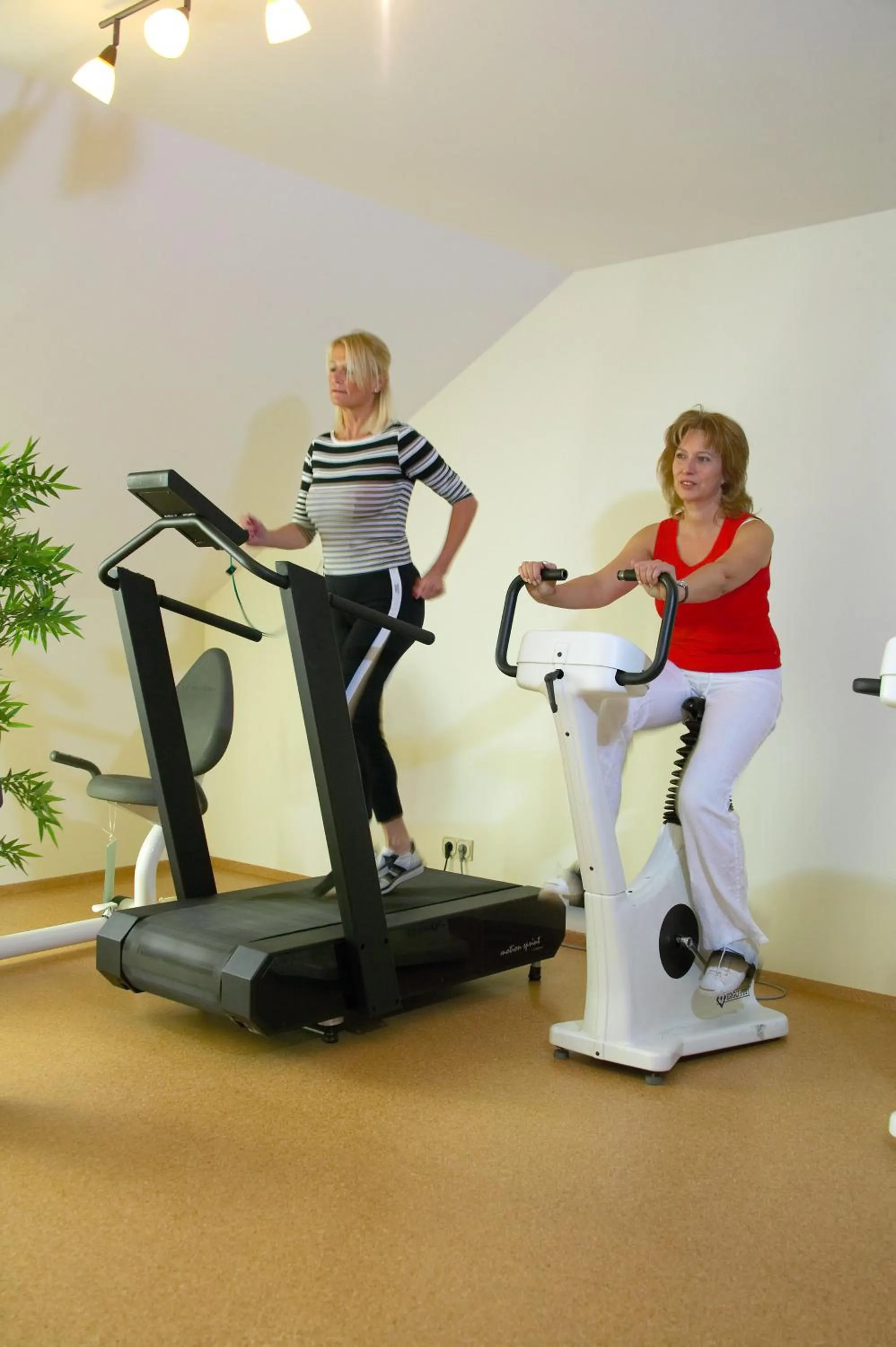 Fitness centre/facilities in Hotel Konradshof