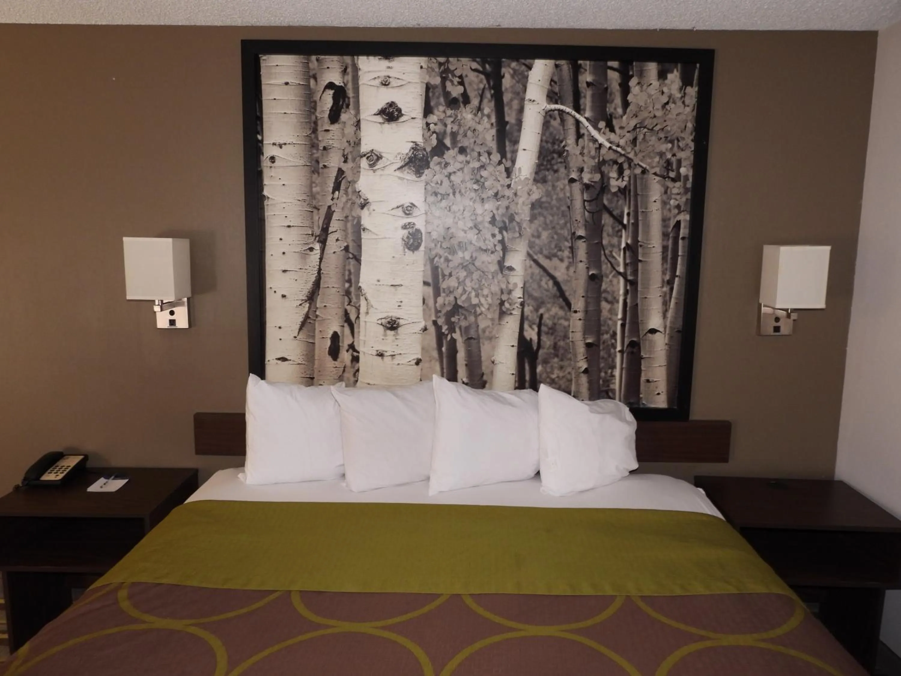 Bed in Super 8 by Wyndham Westminster Denver North