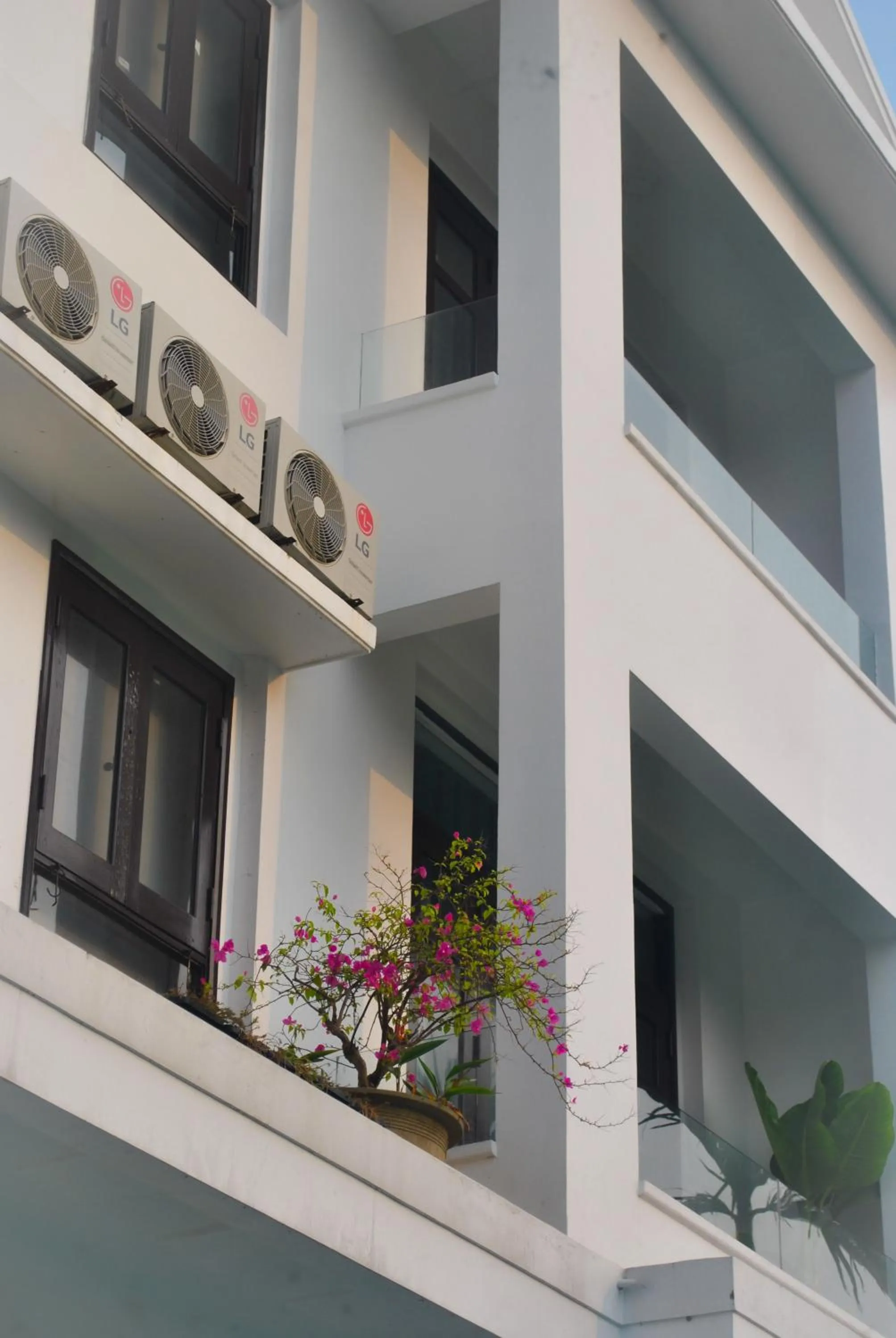 Property building in Hoi An Lotus Aroma Villa
