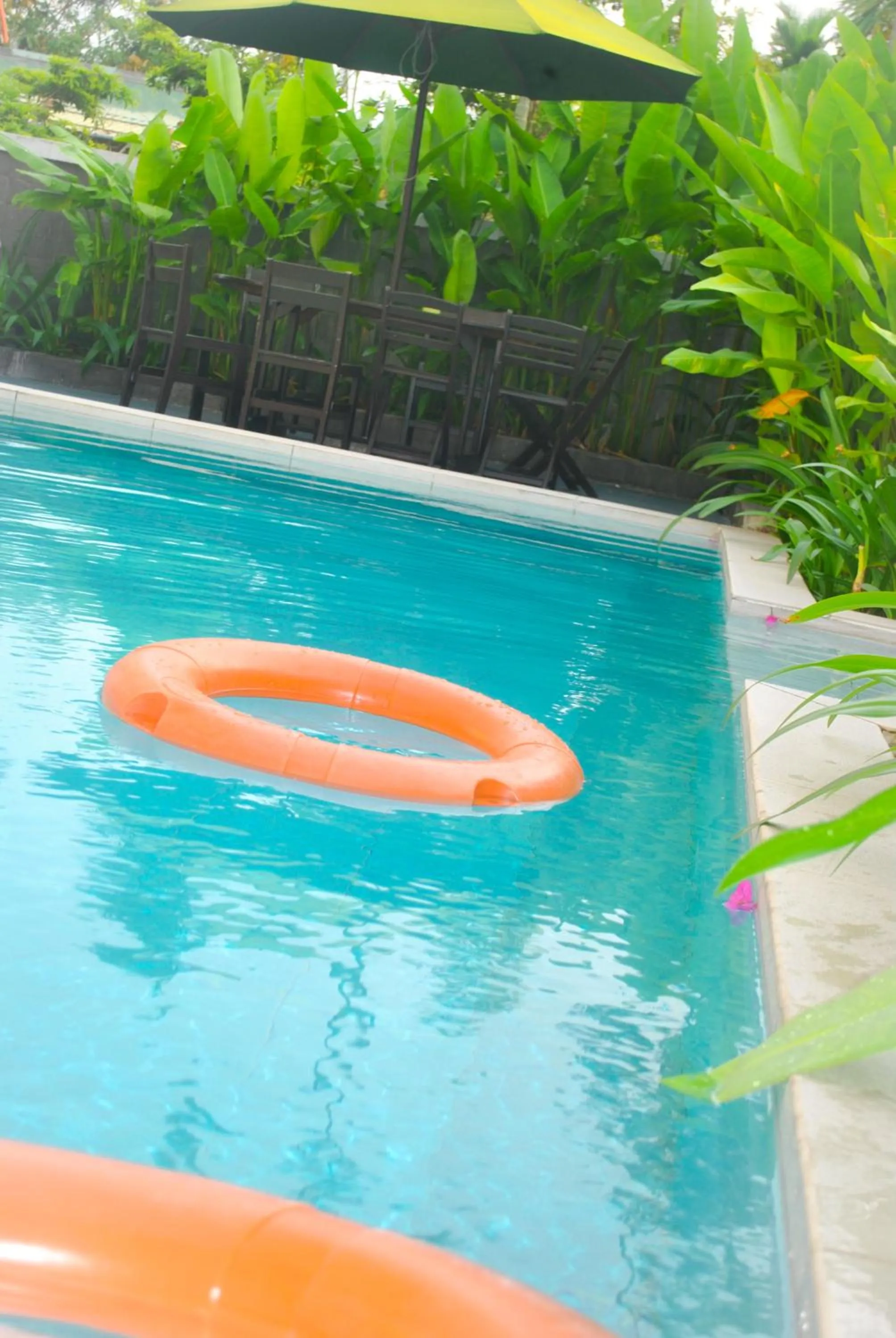 Garden view in Hoi An Lotus Aroma Villa