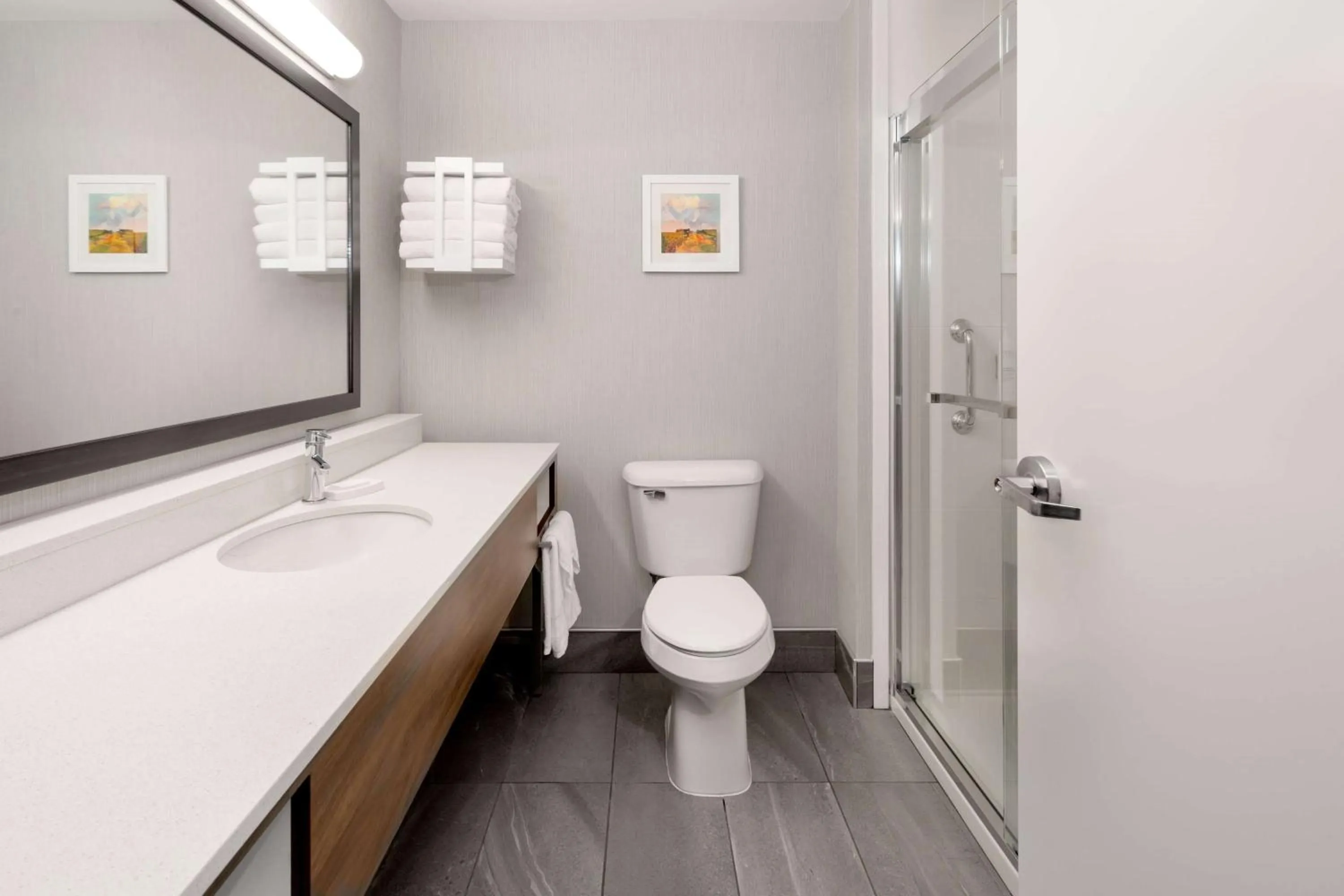 Bathroom in Hampton Inn Mitchell