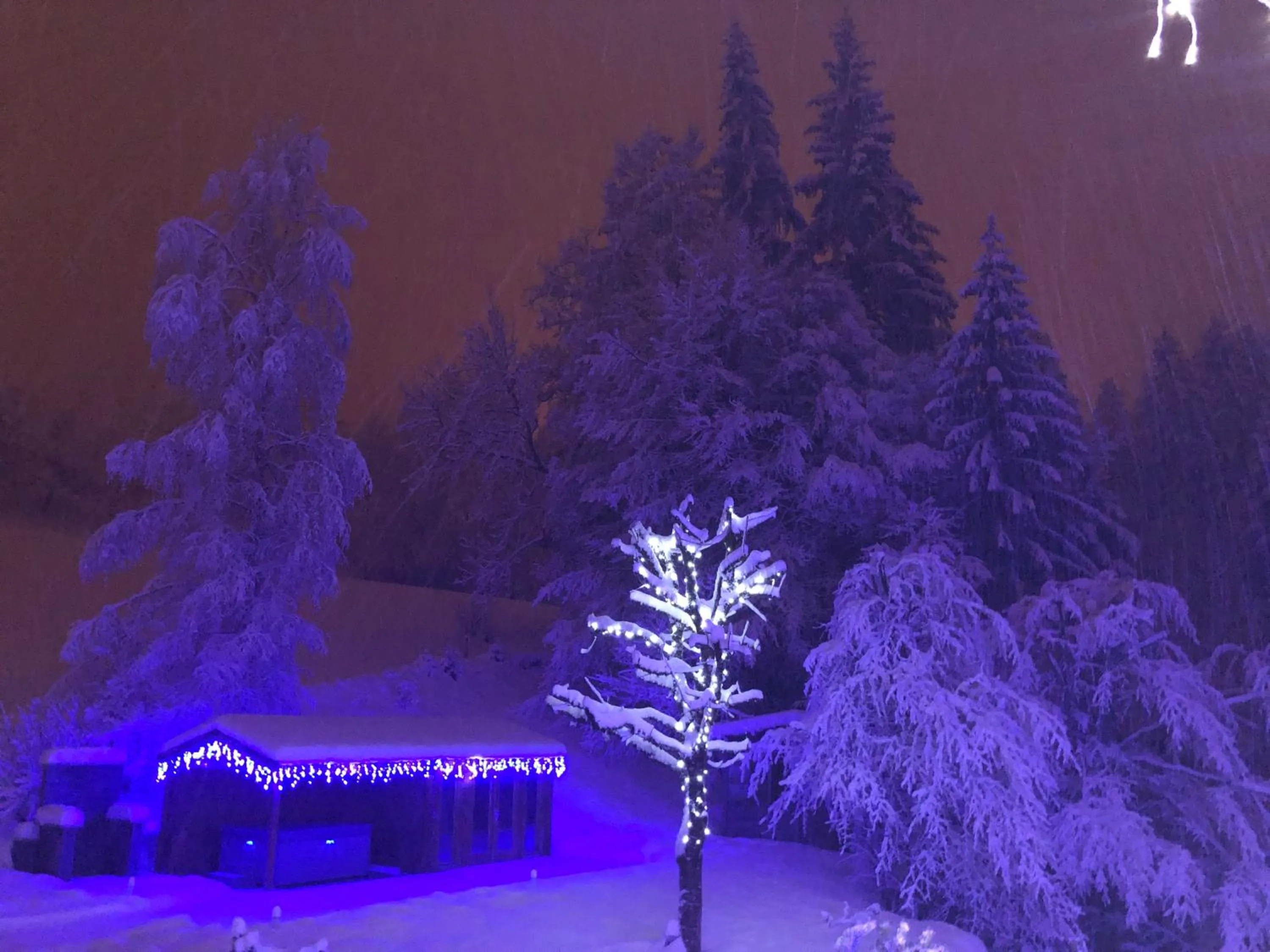 Garden in Le Moulin des Olirics