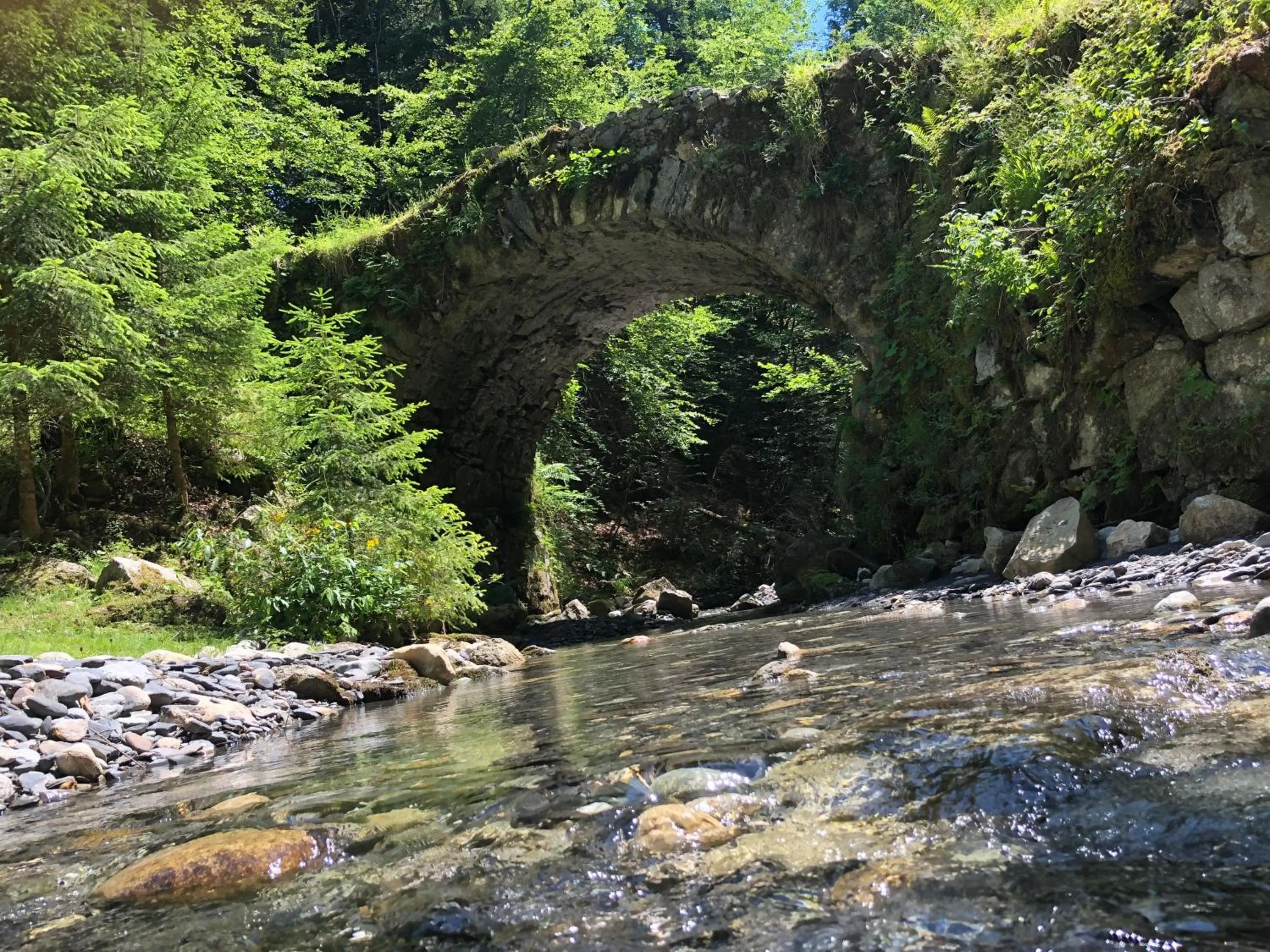 River view in Le Moulin des Olirics