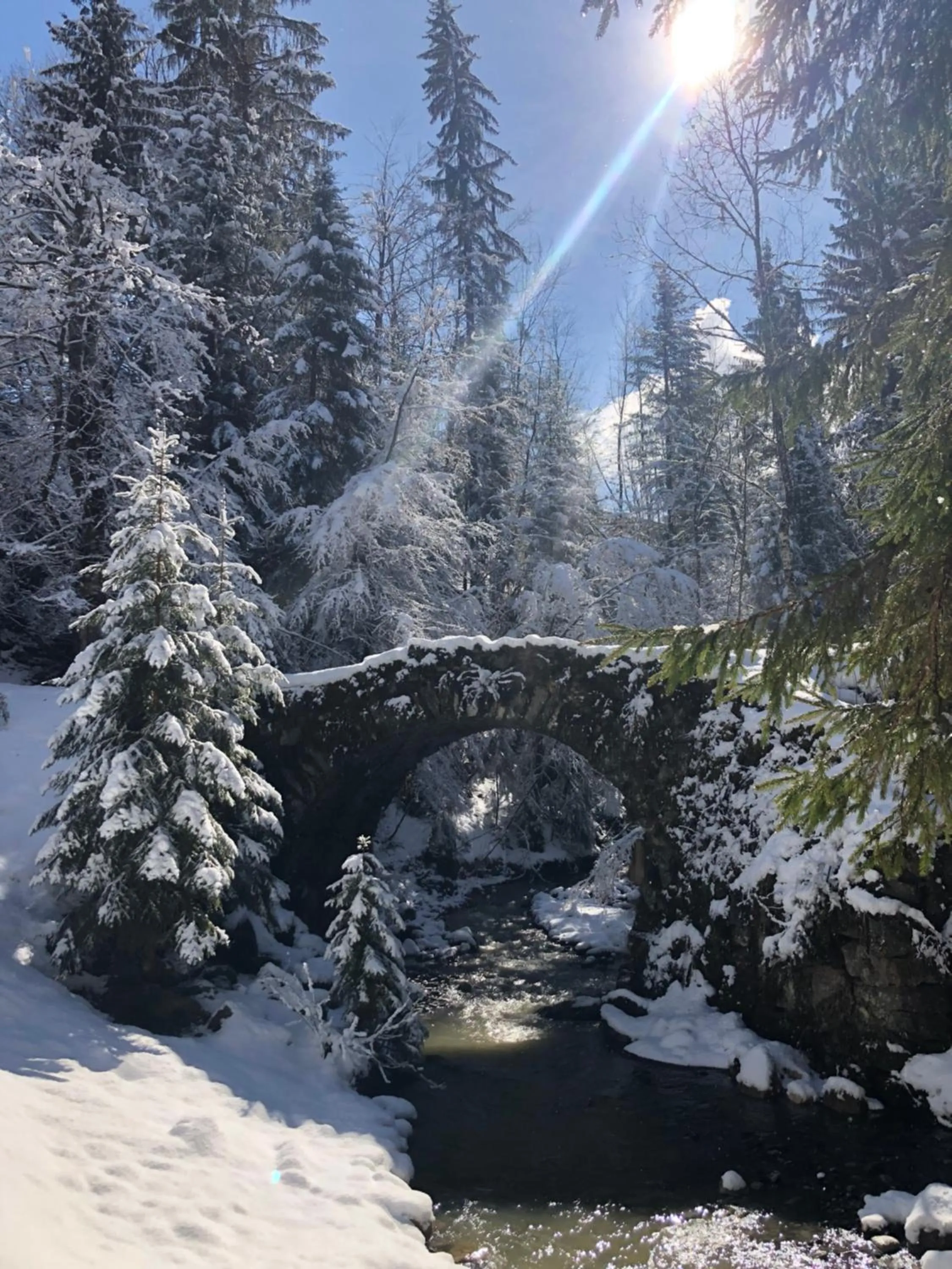 Garden in Le Moulin des Olirics