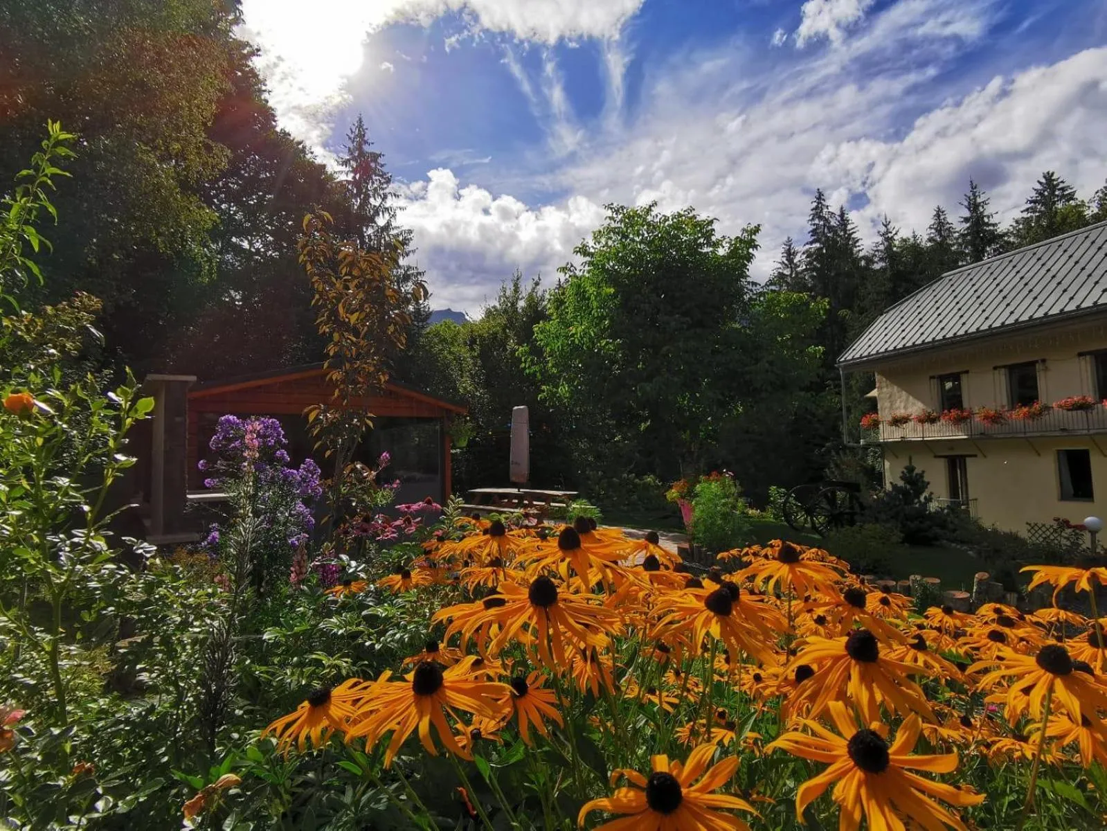 Garden in Le Moulin des Olirics