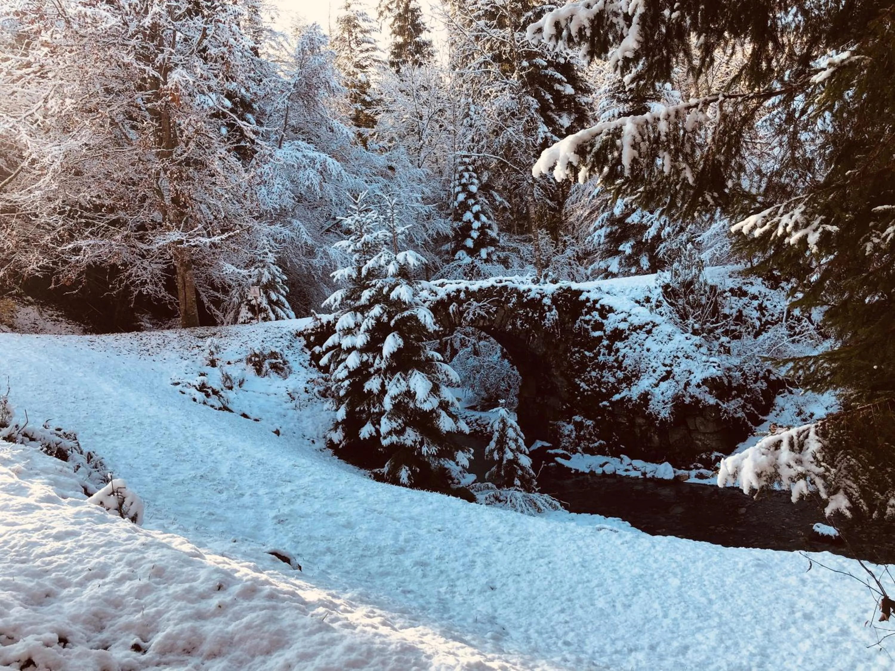 Natural landscape in Le Moulin des Olirics