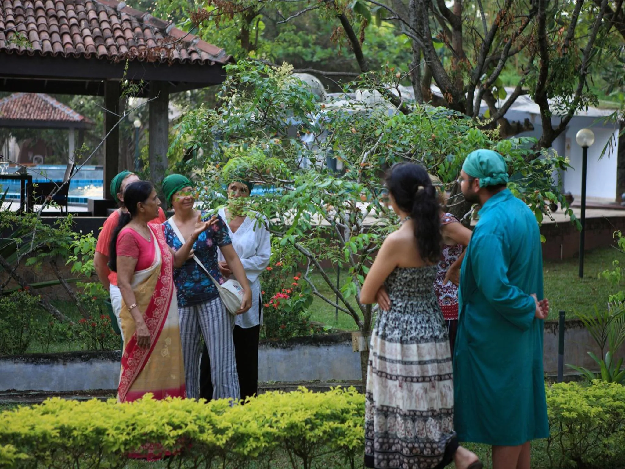 Garden in Siddhalepa Ayurveda Resort - All Meals, Ayurveda Treatment and Yoga