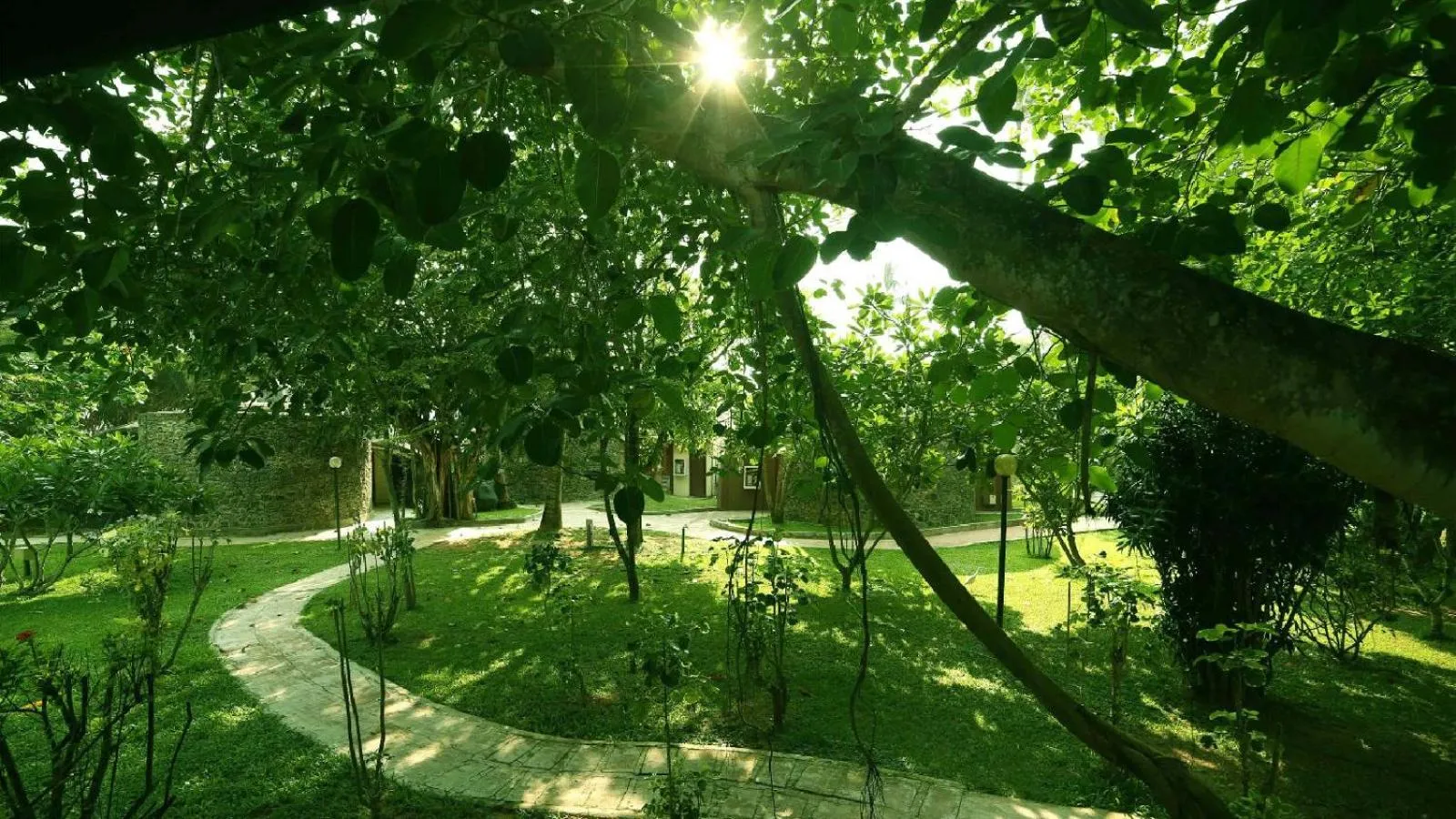 Garden in Siddhalepa Ayurveda Resort - All Meals, Ayurveda Treatment and Yoga