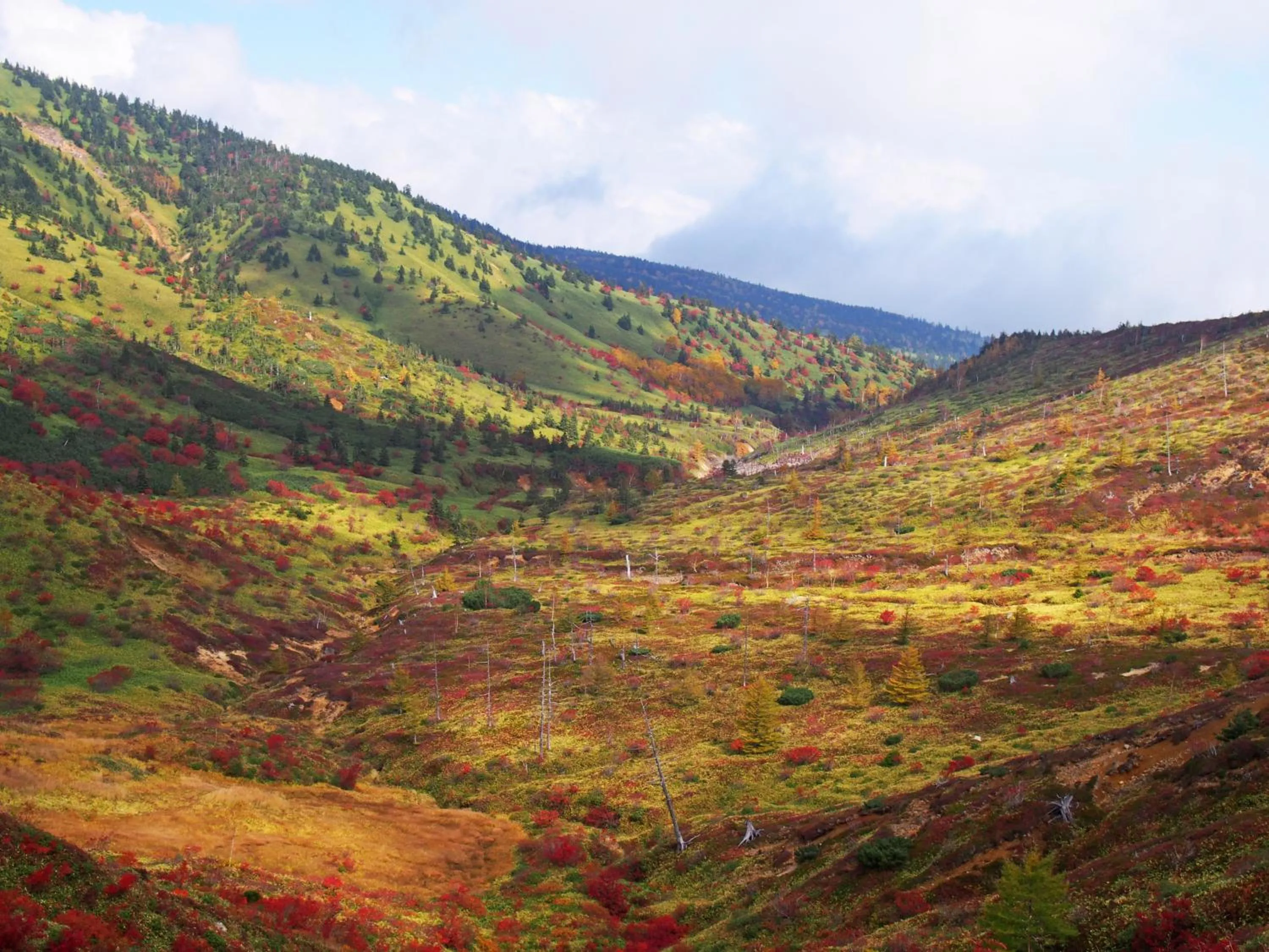 Nearby landmark, Natural Landscape in Bozanso