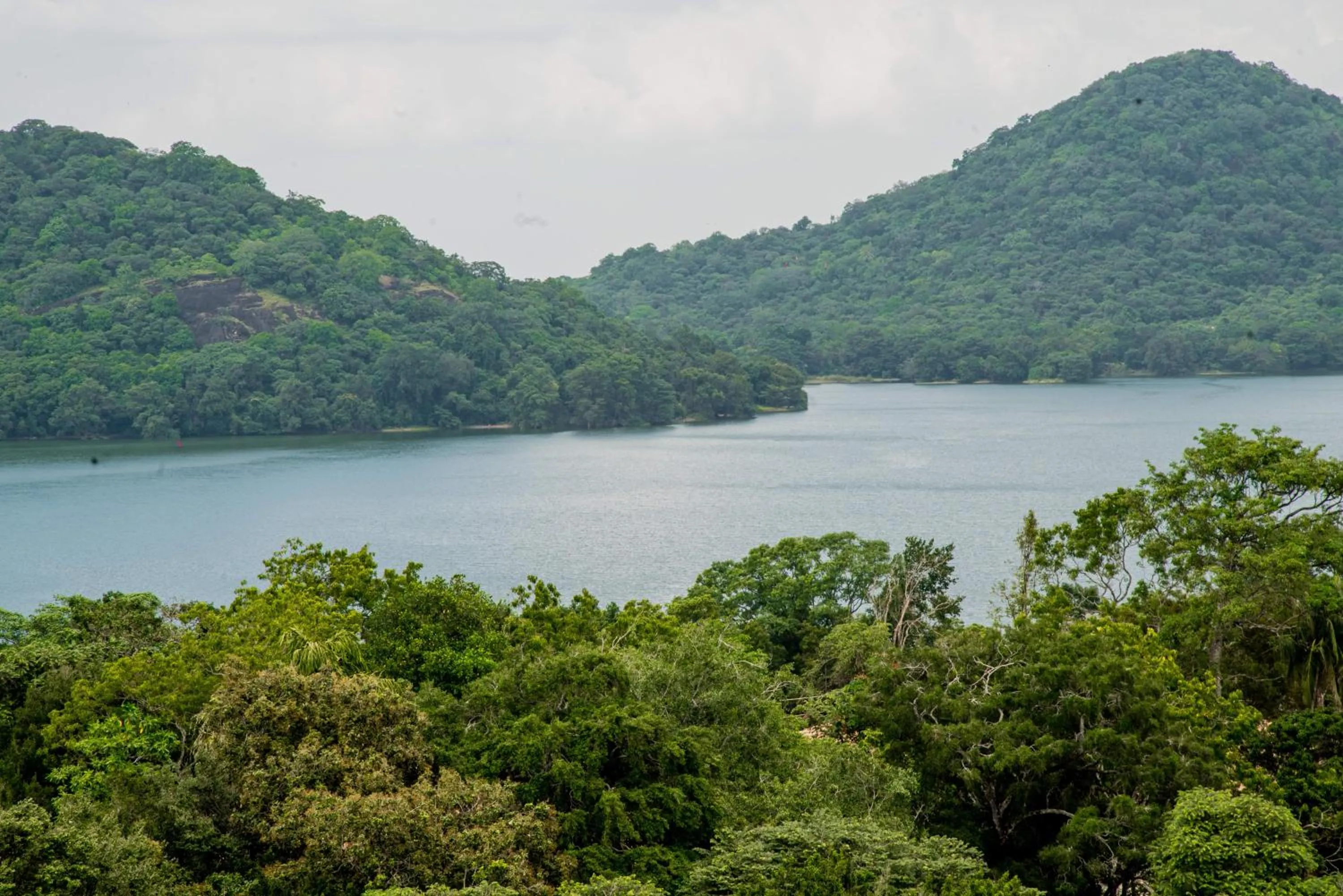 View (from property/room) in Lavendish Lake Giritale - Former Giritale Hotel
