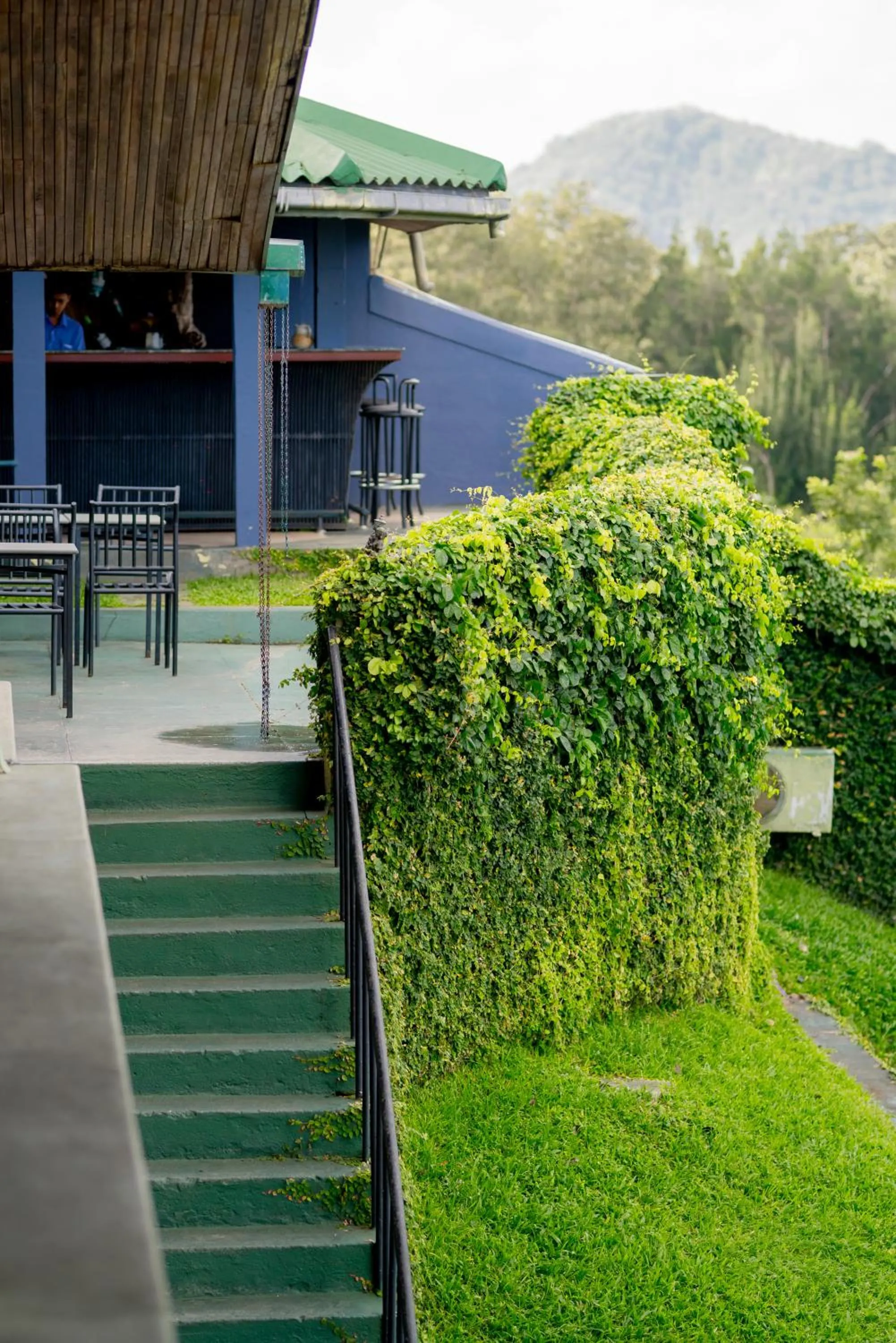 Lounge or bar in Lavendish Lake Giritale - Former Giritale Hotel