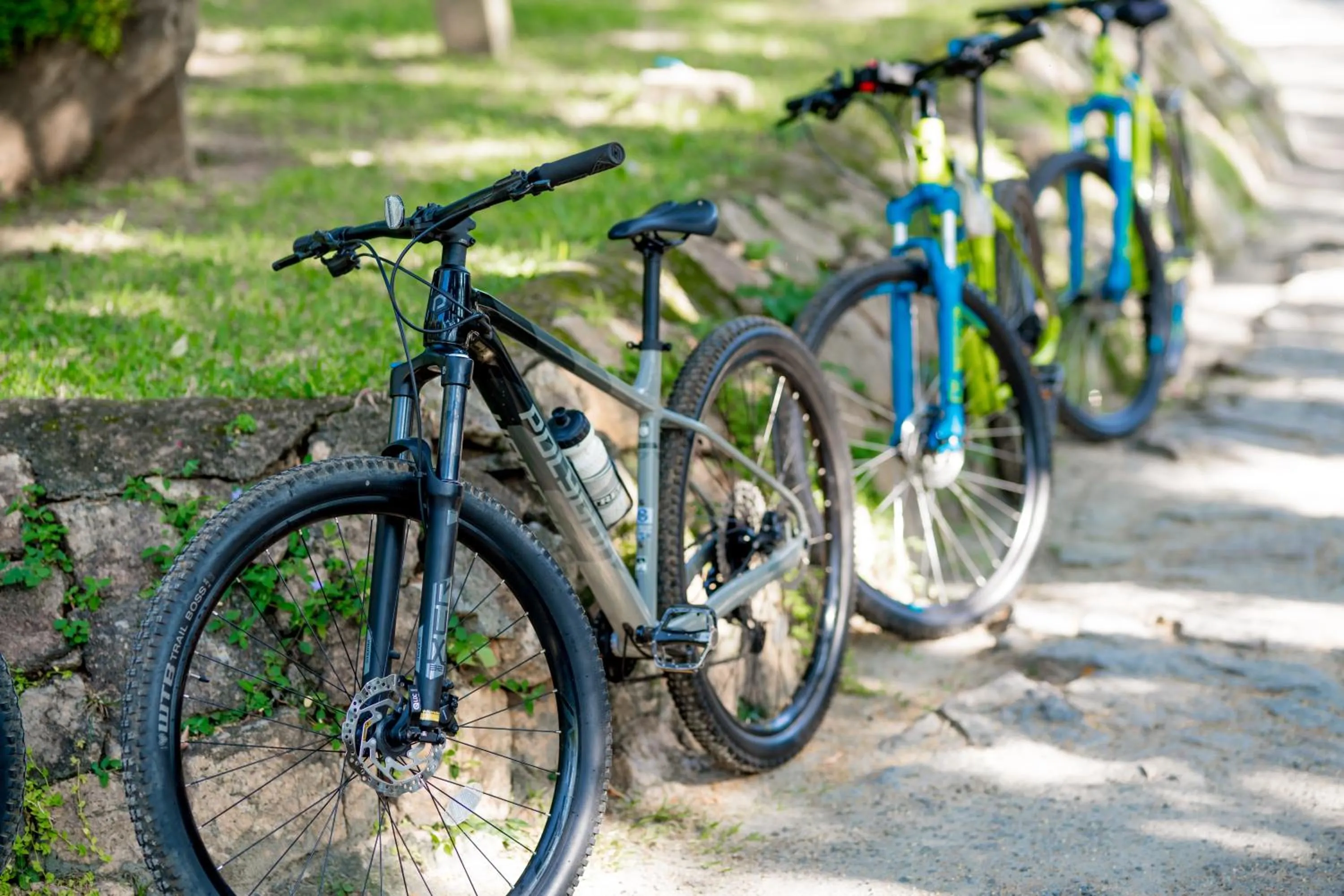 Activities in Lavendish Lake Giritale - Former Giritale Hotel