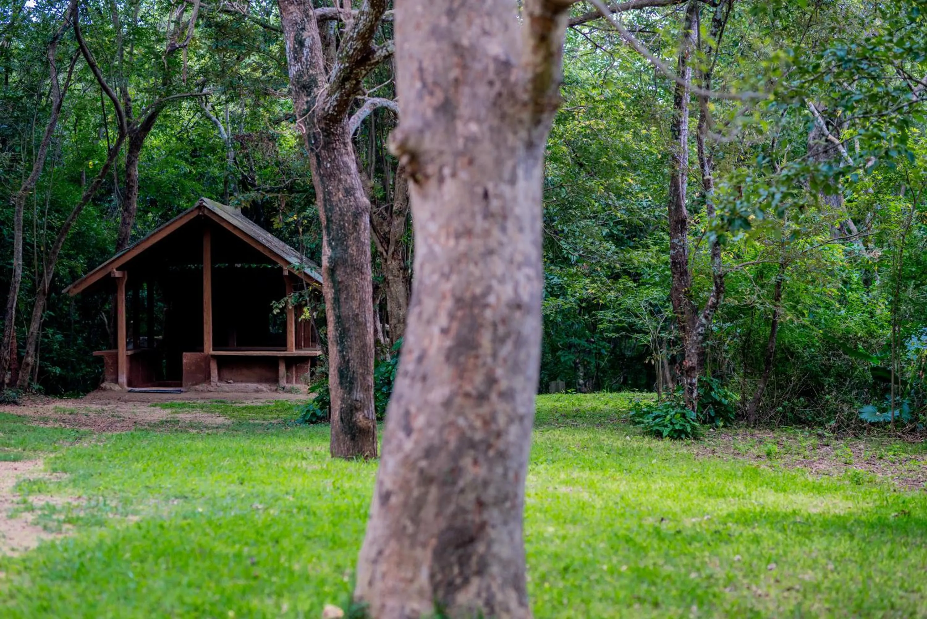 Garden in Lavendish Lake Giritale - Former Giritale Hotel