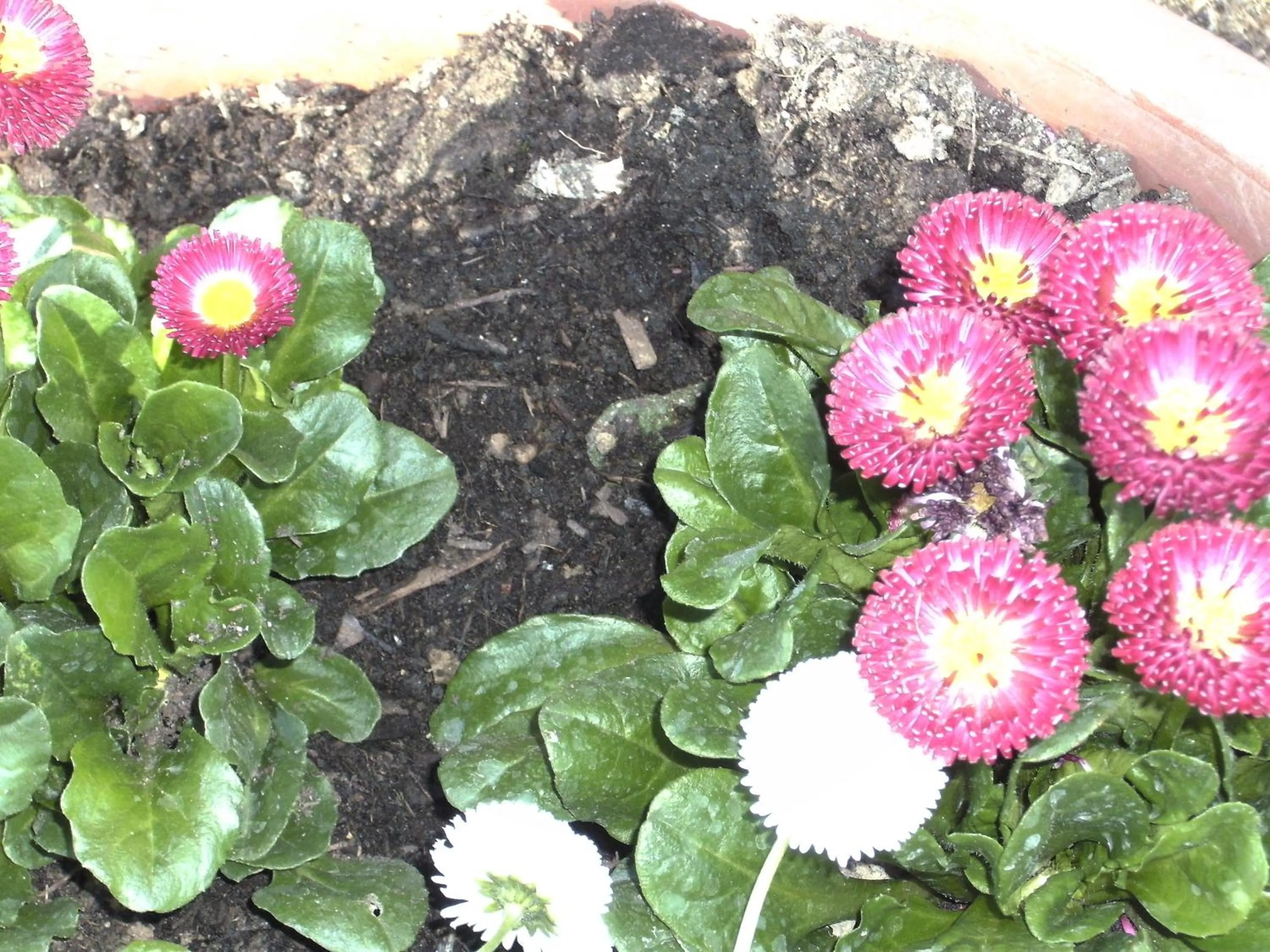 Decorative detail in Casa Lucia in Chianti