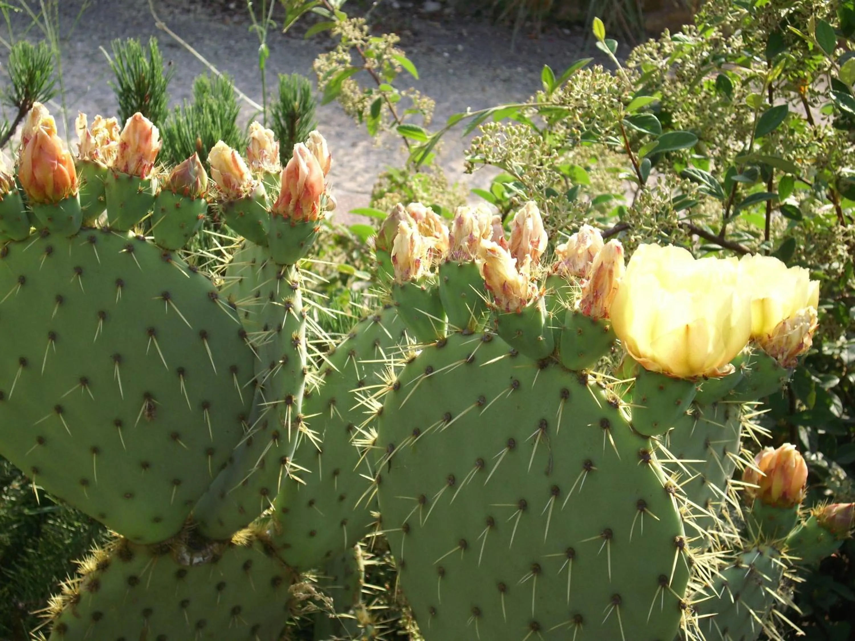 Decorative detail in Casa Lucia in Chianti