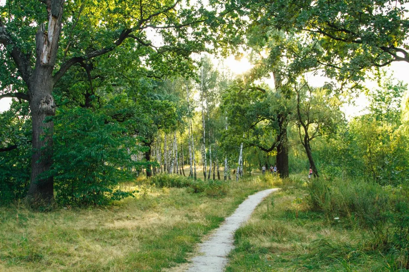 Natural landscape in Korona Hotel
