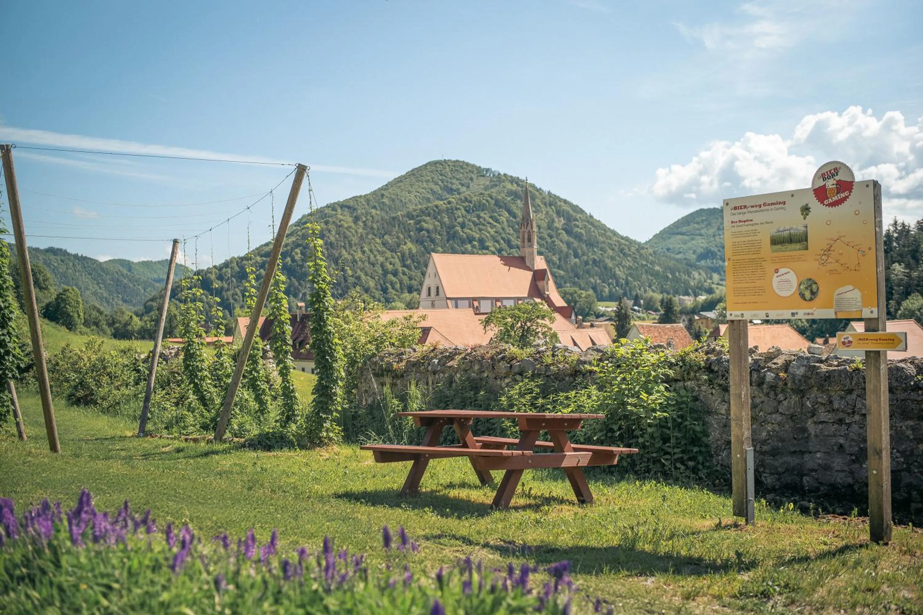 Natural landscape in Hotel Kartause