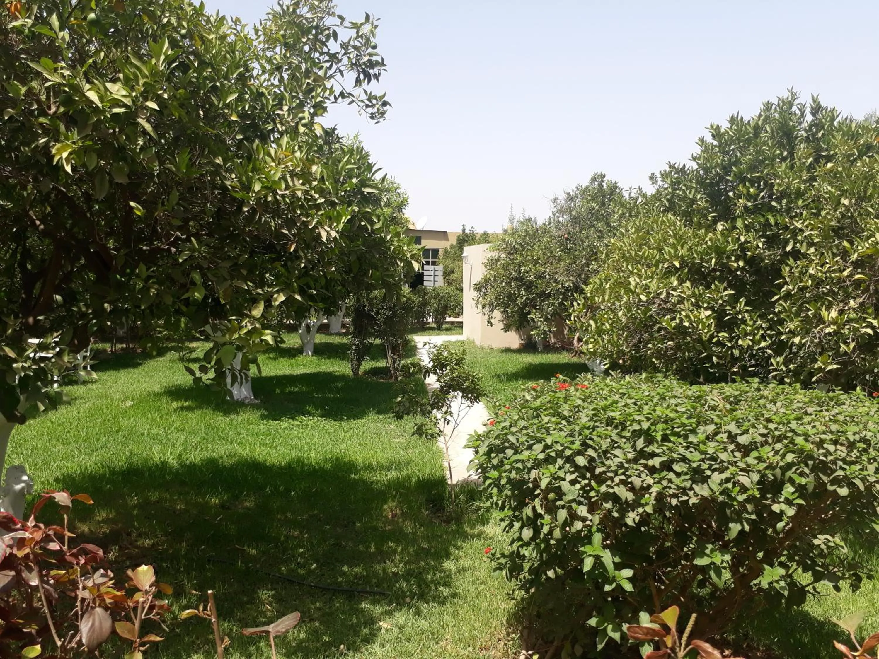 Almounia Hotel & Spa