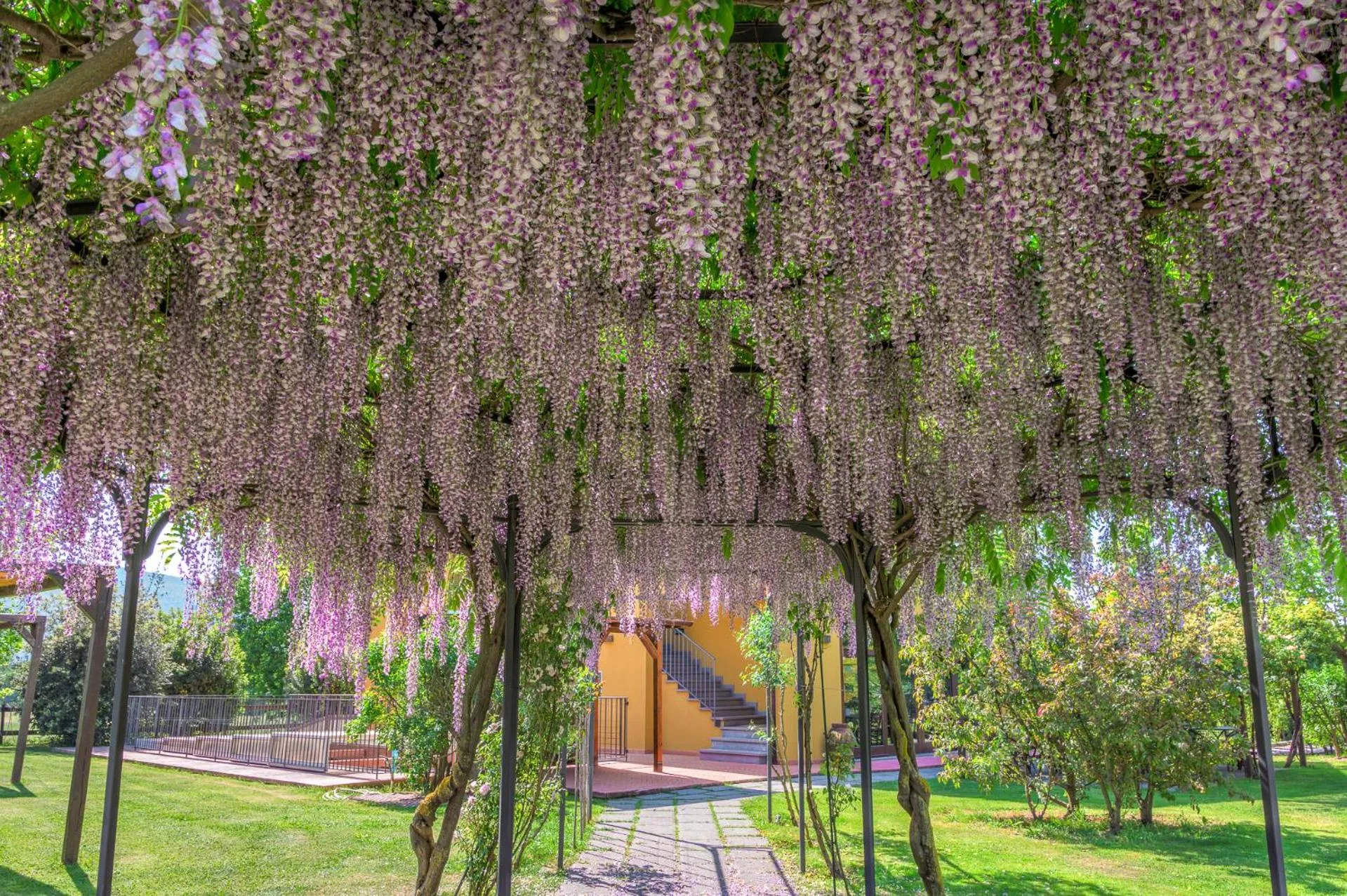 Garden in Antico Casale